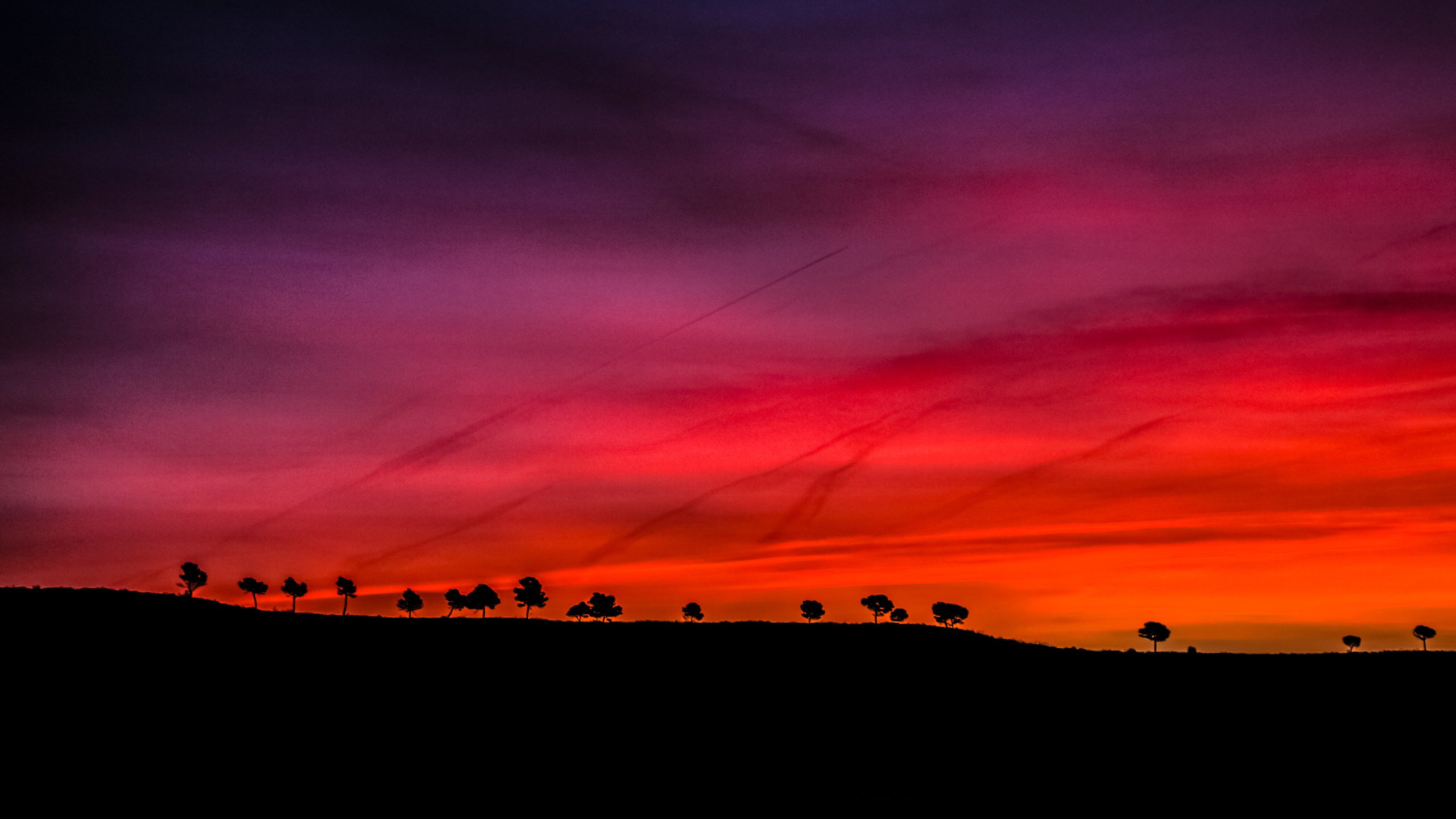 Обои небо, деревья, закат, горизонт, силуэт, the sky, trees, sunset, horizon, silhouette разрешение 4608x3072 Загрузить