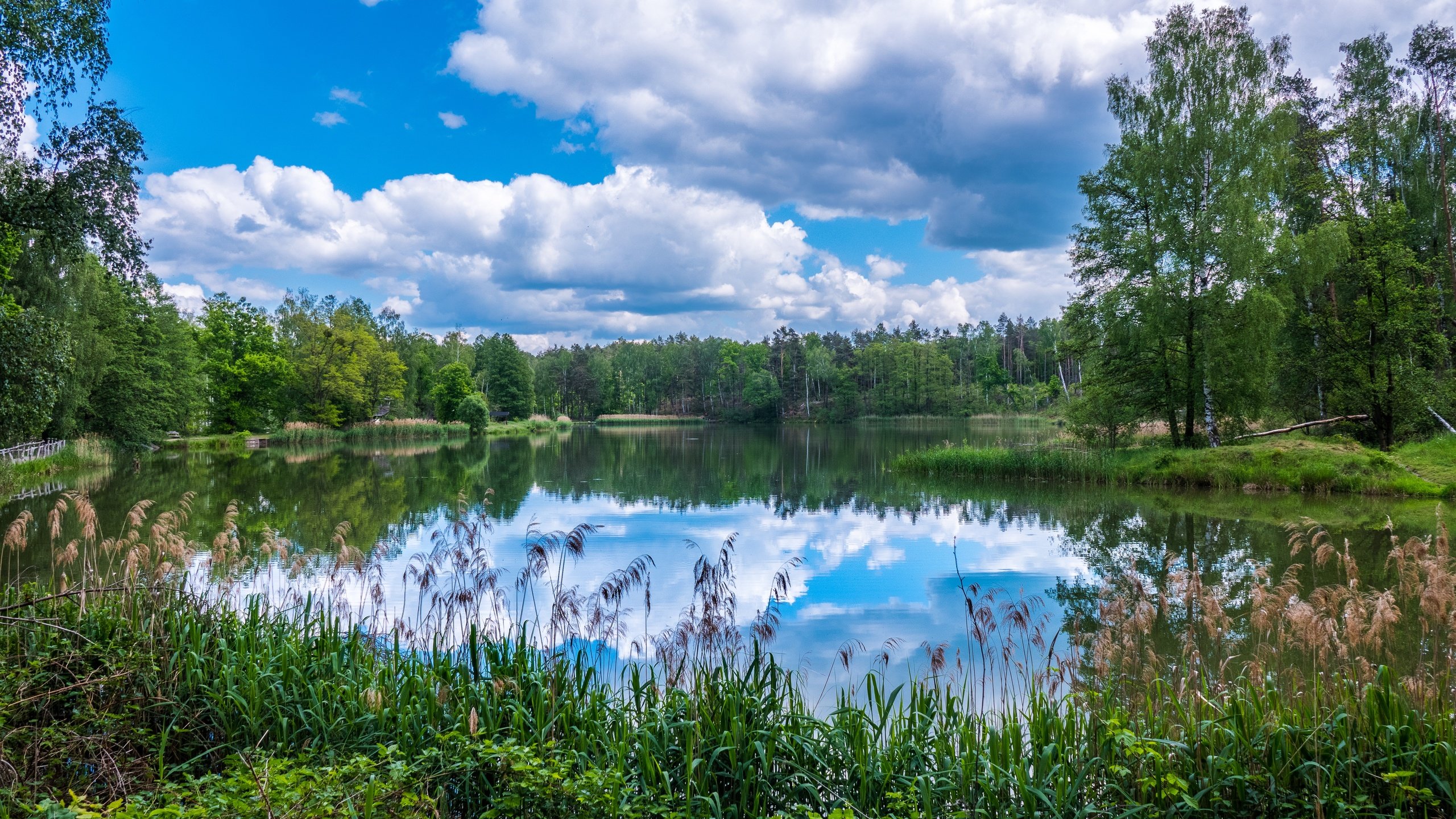 Обои облака, деревья, озеро, природа, лес, отражение, clouds, trees, lake, nature, forest, reflection разрешение 5420x3049 Загрузить