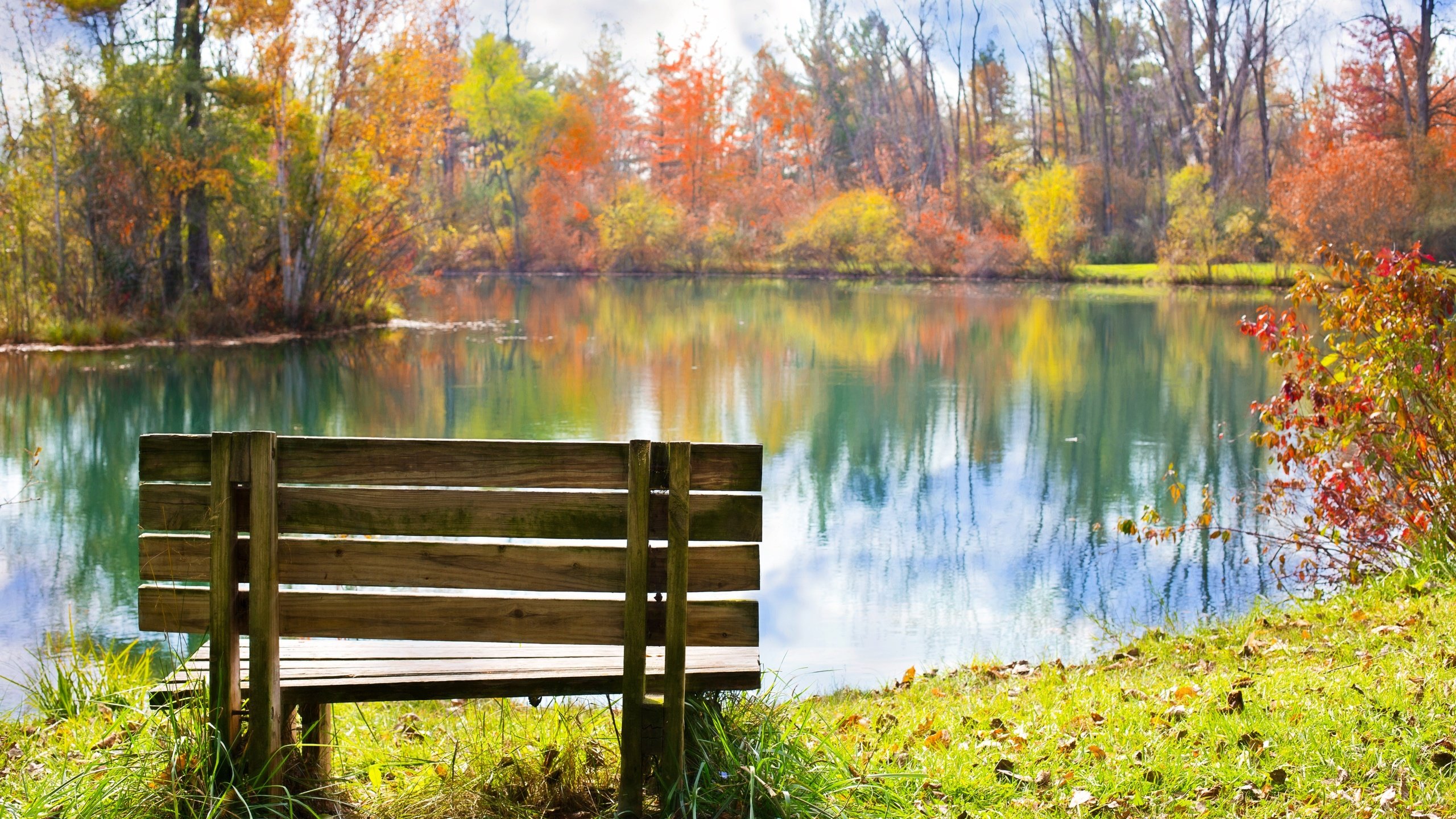 Обои трава, листья, отражение, парк, осень, скамейка, пруд, пруд парк, grass, leaves, reflection, park, autumn, bench, pond разрешение 5760x3840 Загрузить