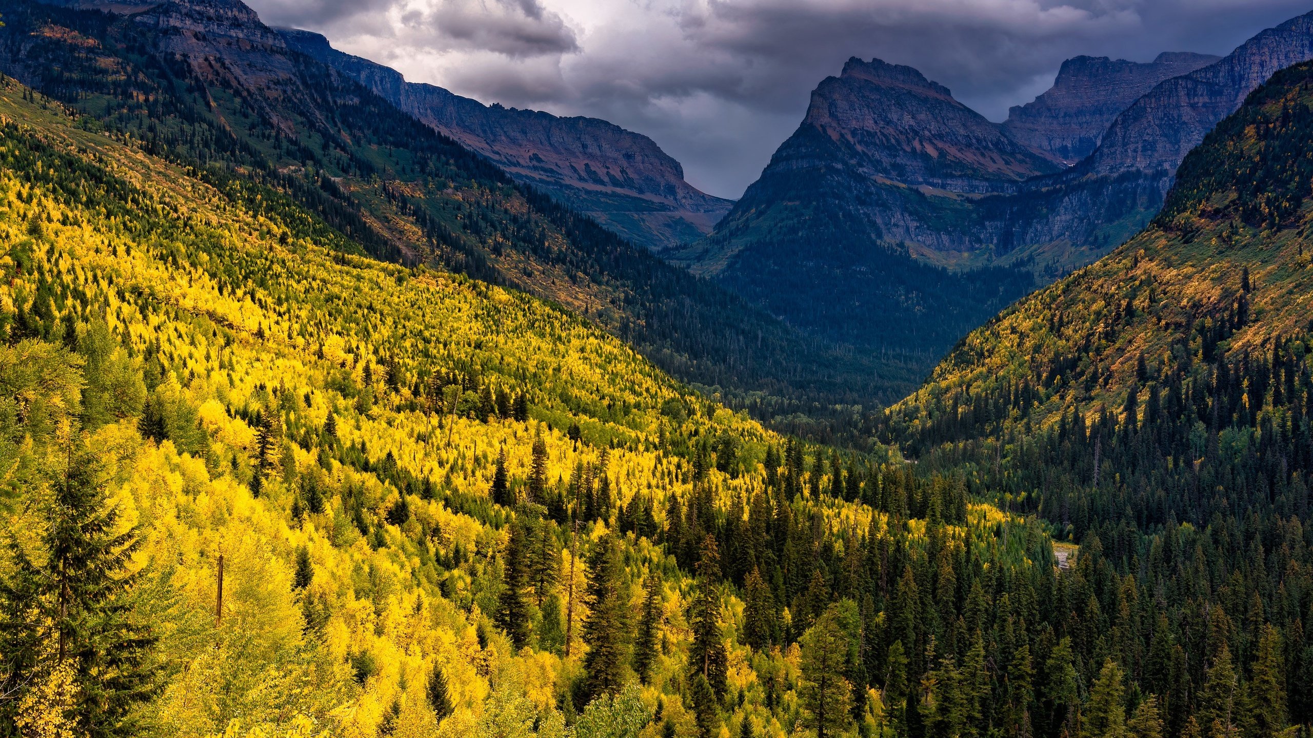 Обои горы, лес, осень, склоны, mountains, forest, autumn, the slopes разрешение 3072x2048 Загрузить