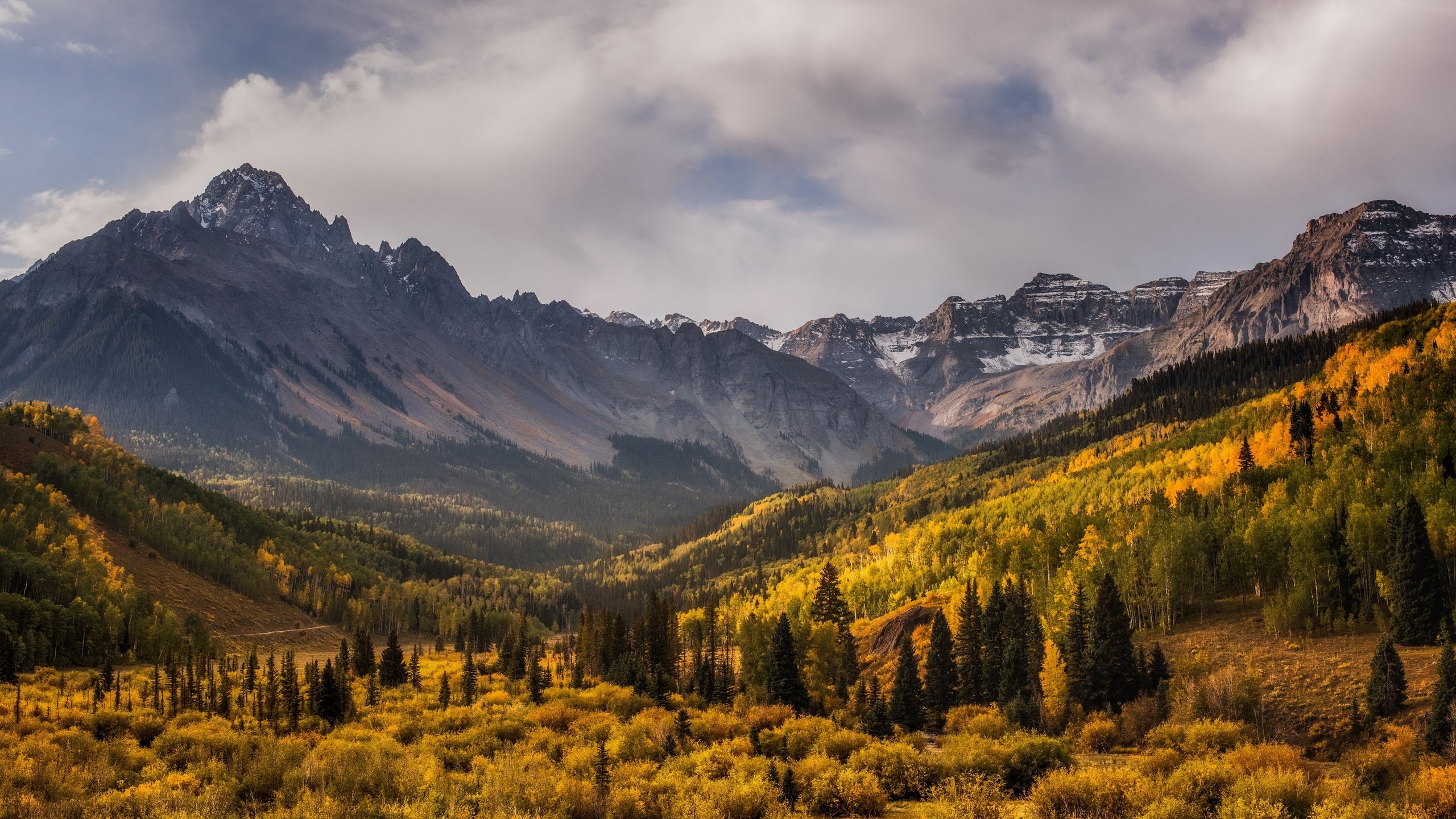 Обои горы, лес, mountains, forest разрешение 3840x2160 Загрузить