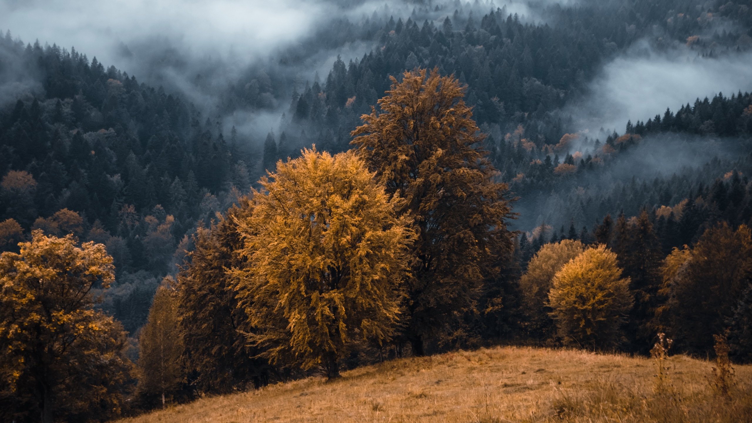 Обои горы, туман, осень, mountains, fog, autumn разрешение 3840x2160 Загрузить