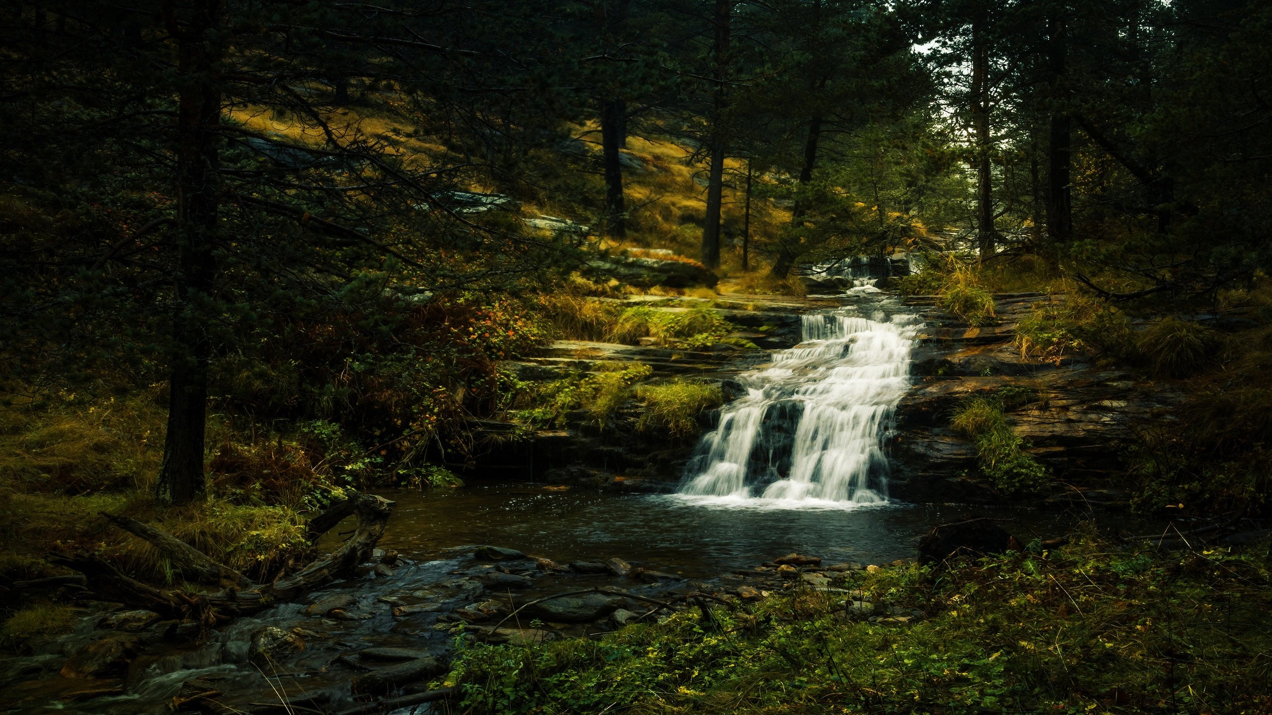 Обои камни, лес, ветки, водопад, полумрак, stones, forest, branches, waterfall, twilight разрешение 3840x2160 Загрузить