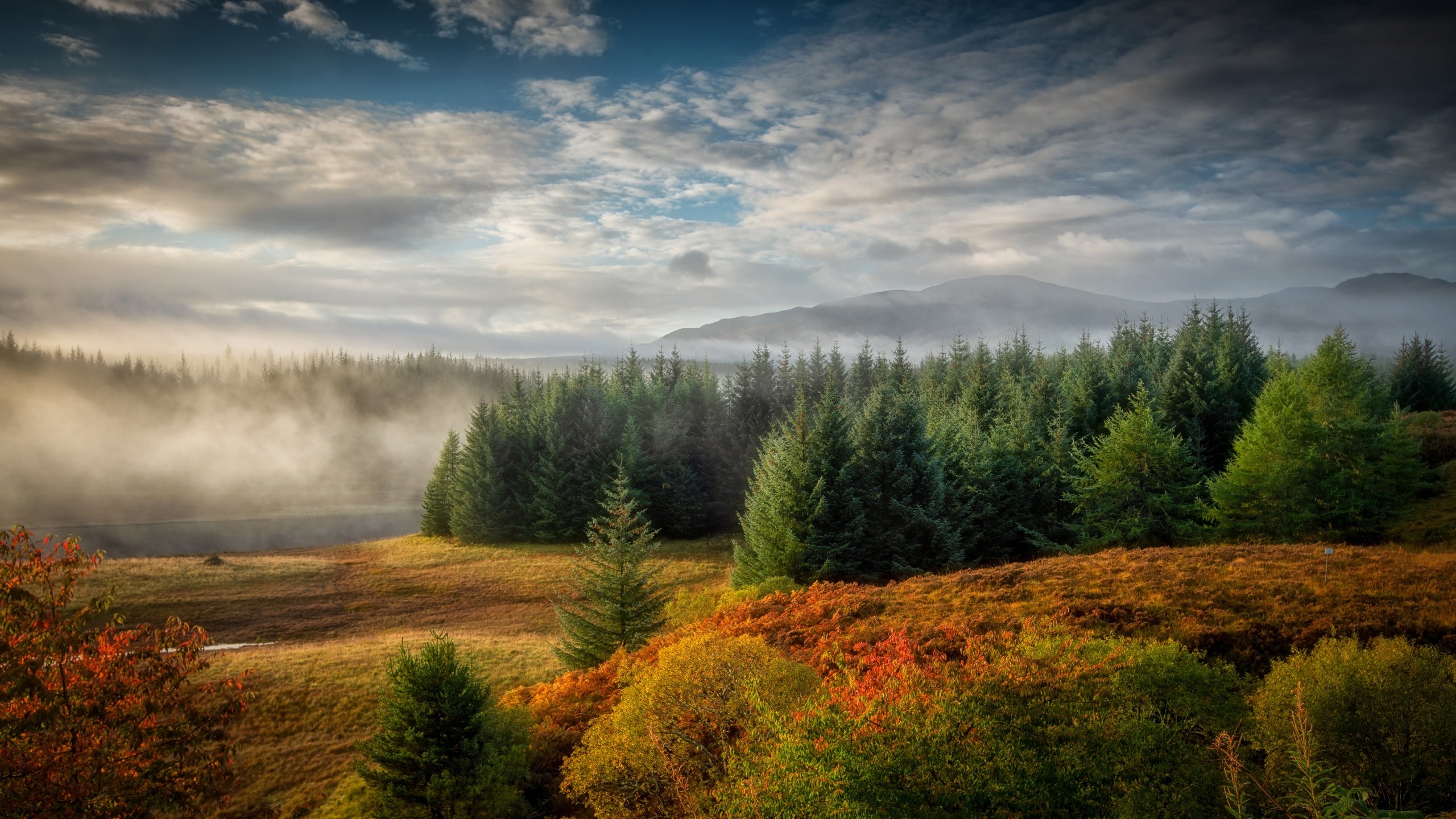 Обои река, туман, осень, шотландия, river, fog, autumn, scotland разрешение 7952x4872 Загрузить