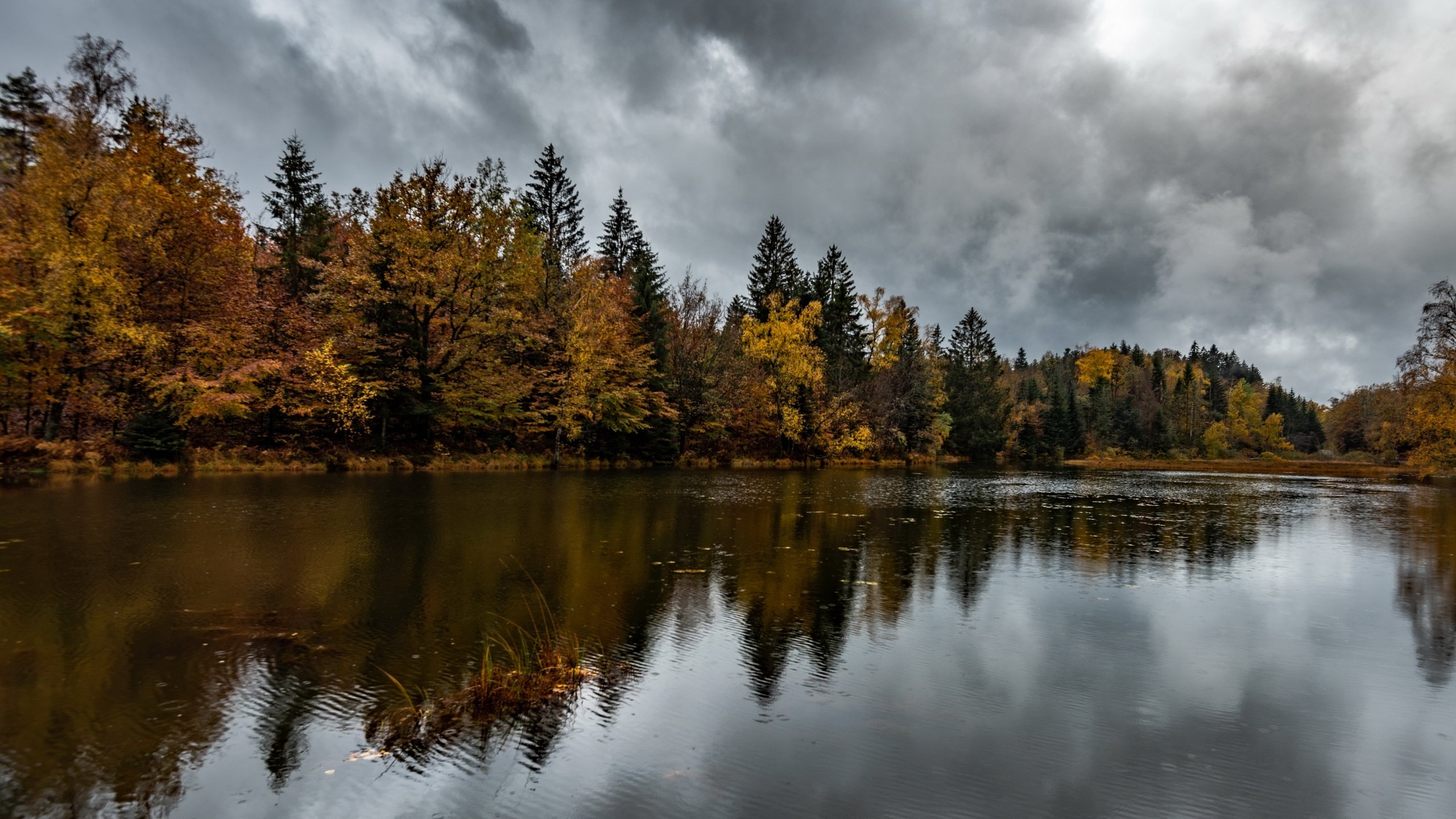 Обои река, природа, river, nature разрешение 3840x2160 Загрузить