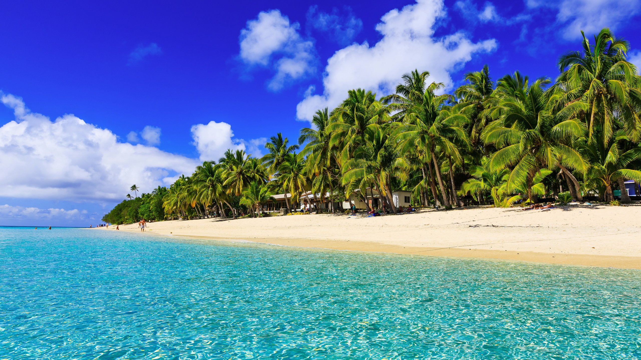 Обои пальмы, океан, тропический остров, palm trees, the ocean разрешение 5760x3840 Загрузить