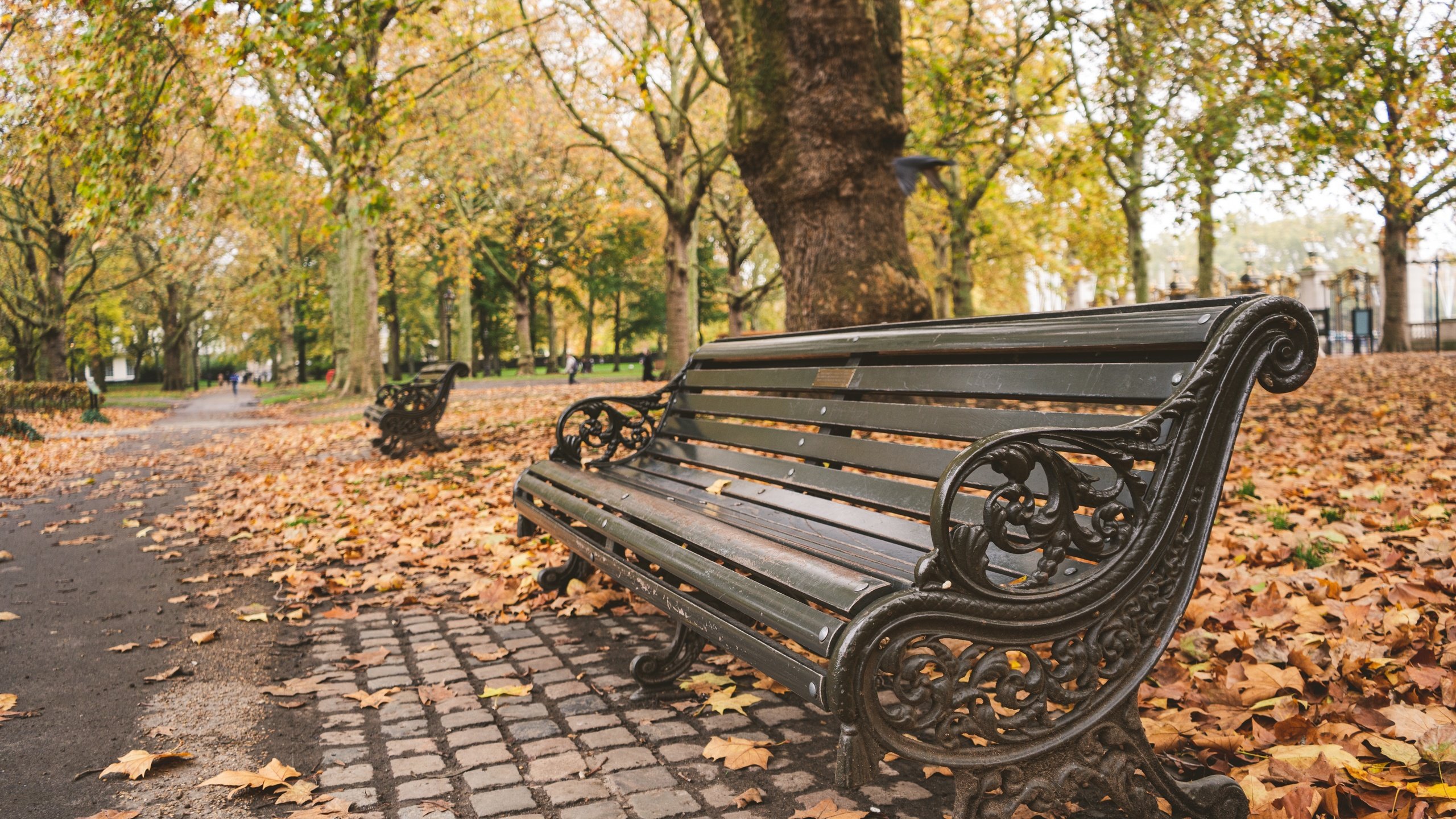 Обои деревья, листья, парк, осень, скамейка, trees, leaves, park, autumn, bench разрешение 6000x4000 Загрузить