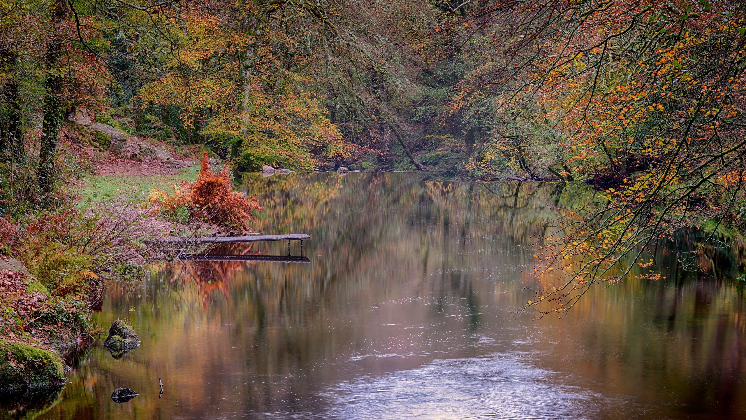 Обои лес, осень, речка, forest, autumn, river разрешение 5120x2567 Загрузить