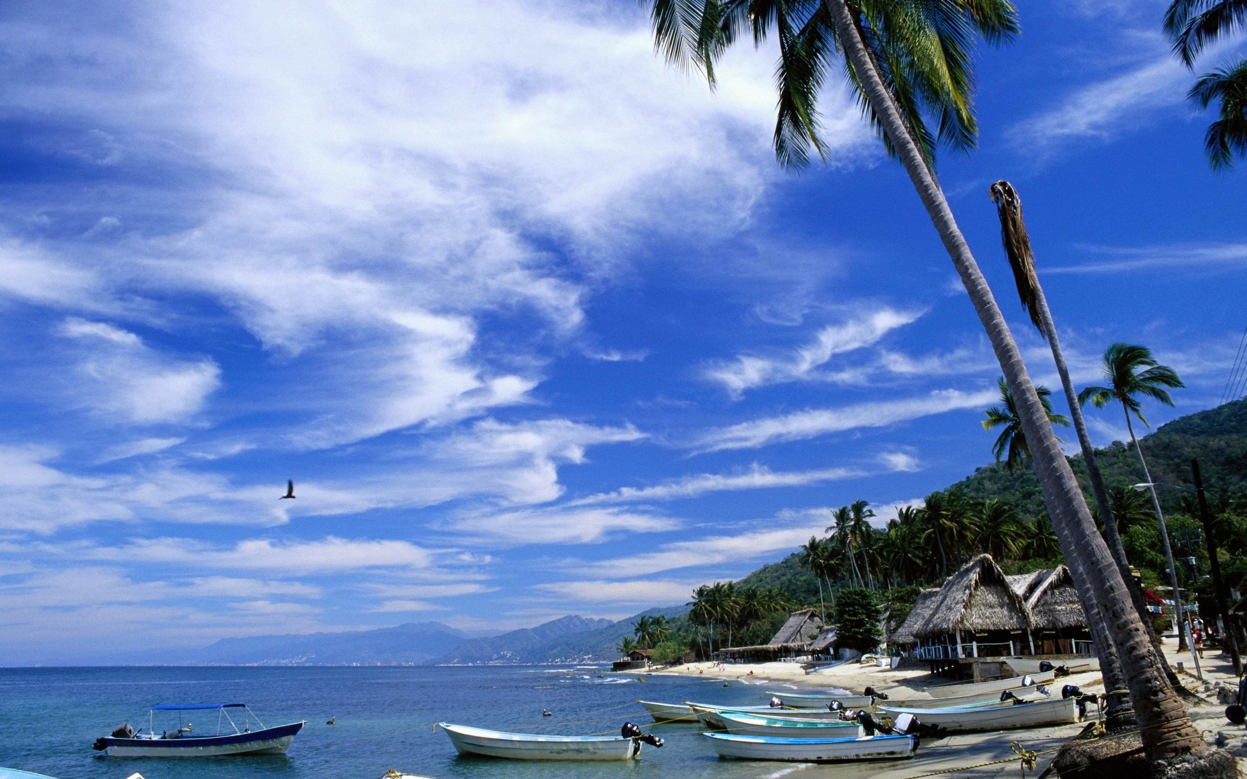 Обои море, пляж, лодки, бунгало, sea, beach, boats, bungalow разрешение 4096x2732 Загрузить