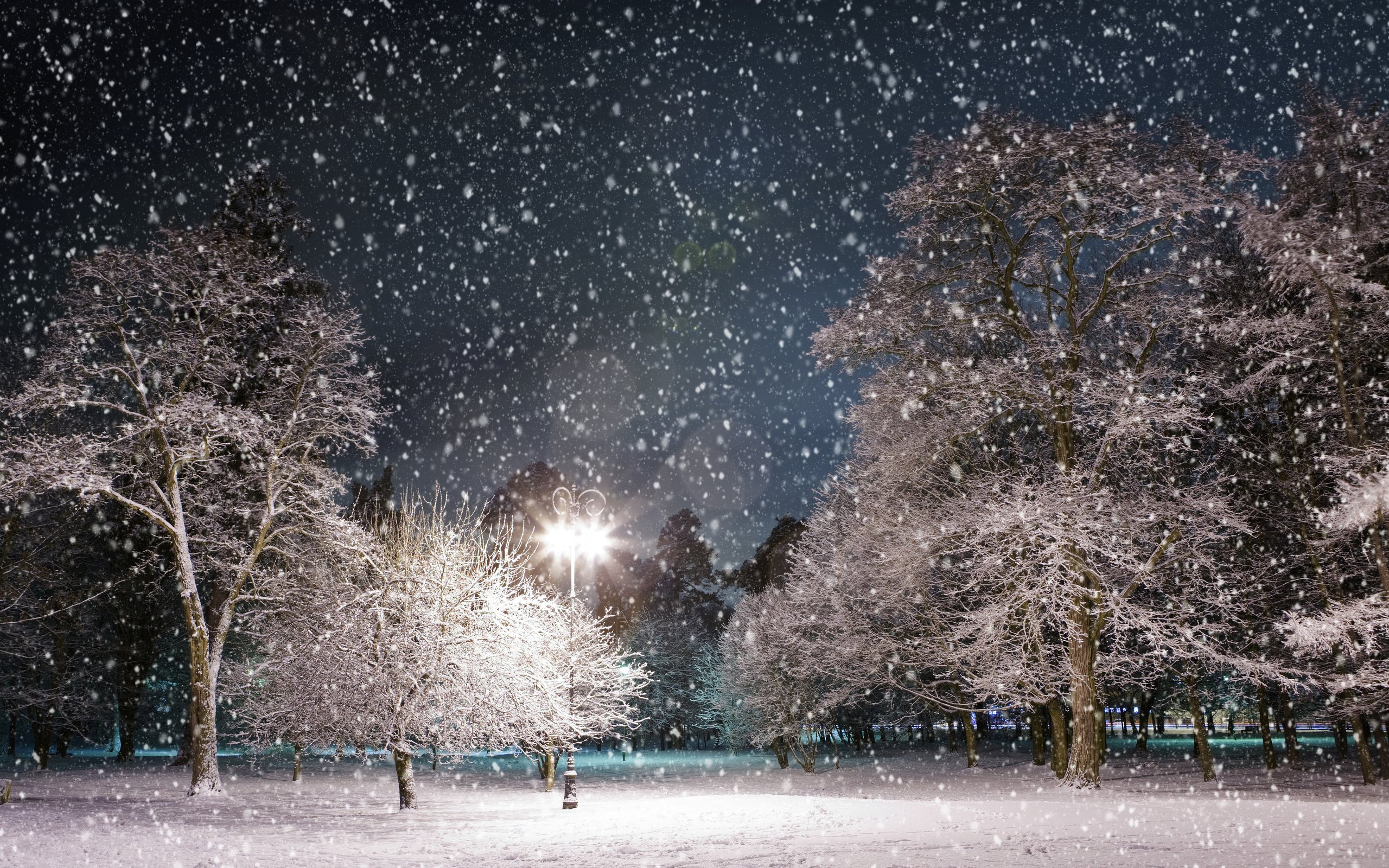 Обои ночь, деревья, снег, зима, парк, фонарь, night, trees, snow, winter, park, lantern разрешение 3984x2516 Загрузить