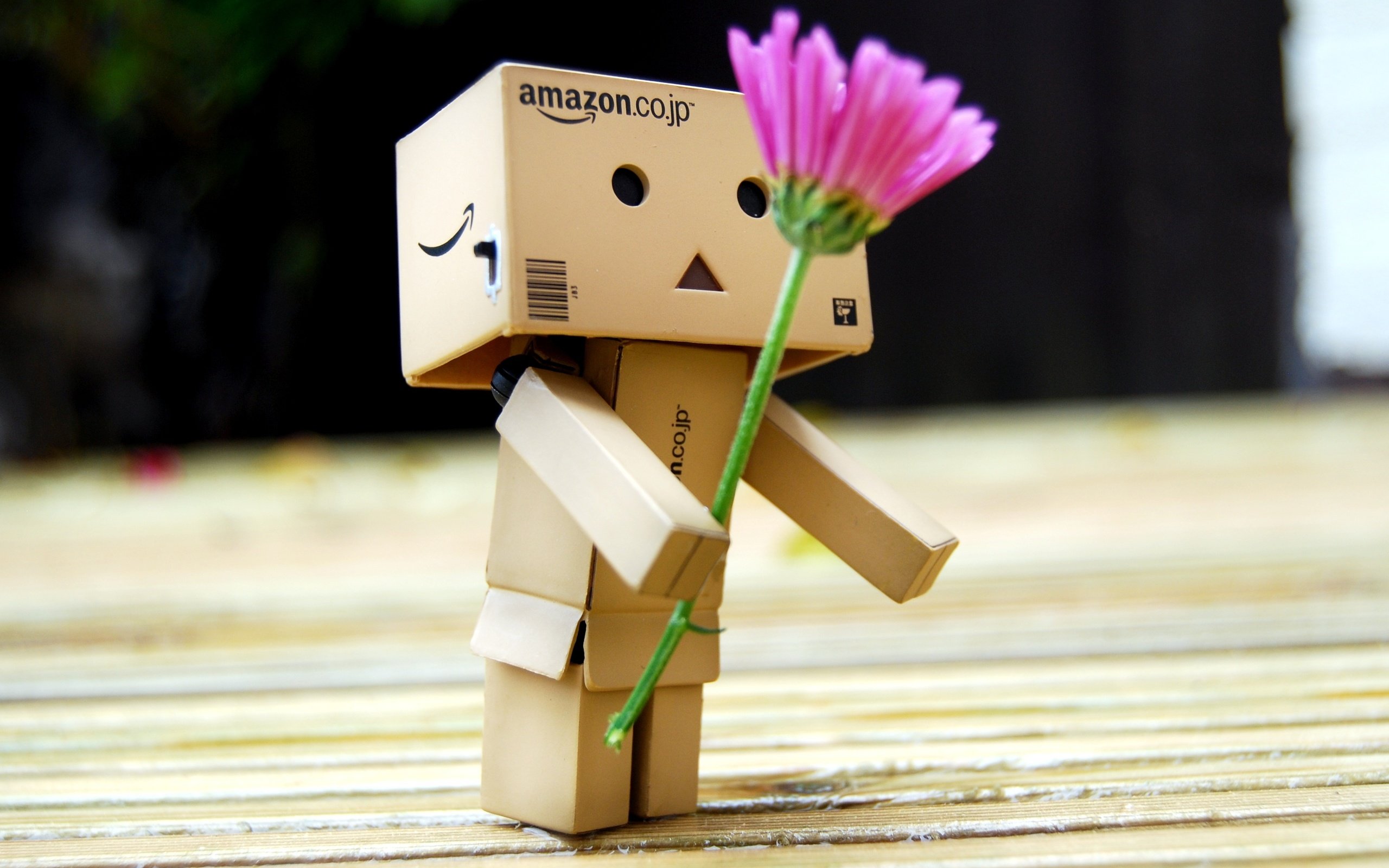 Обои цветок, робот, подарок, игрушечная, danboard, данбо, цветком, короб, flower, robot, gift, toy, danbo, box разрешение 3660x2369 Загрузить