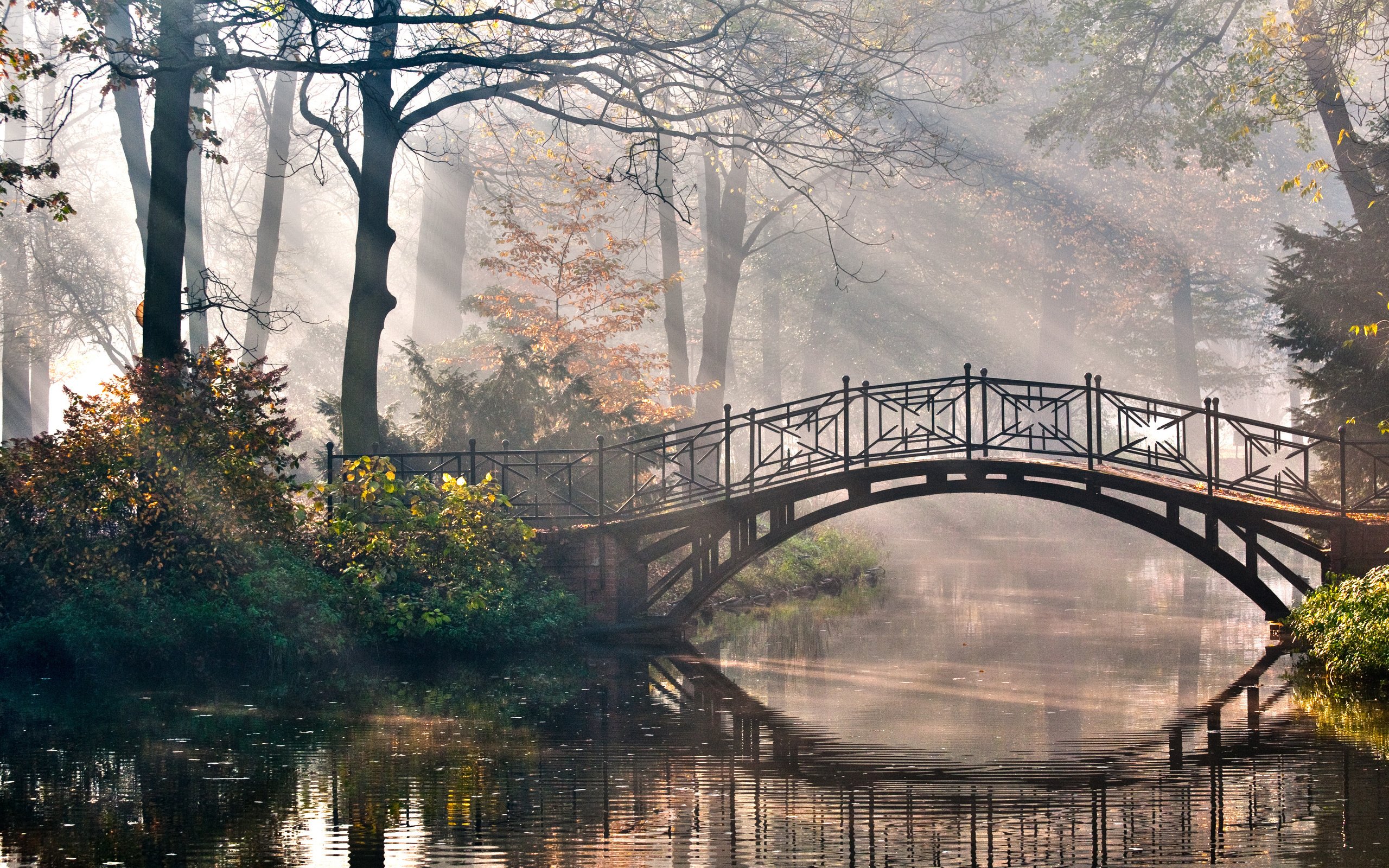 природа деревья мост осень река загрузить