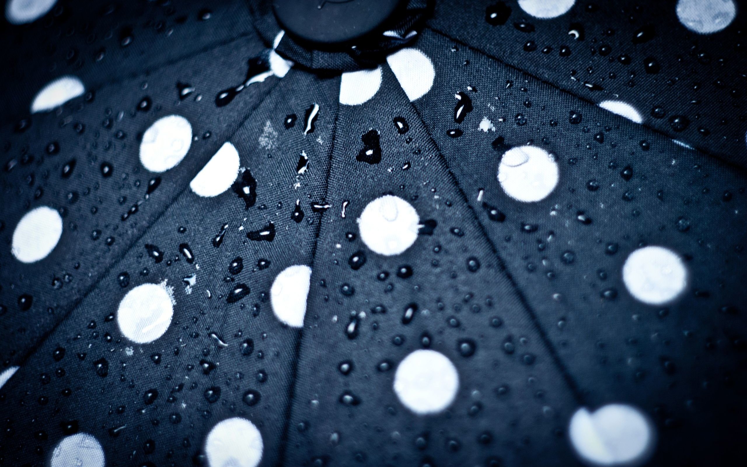 Обои капли, круги, зонт, зонтик, капли дождя, drops, circles, umbrella, raindrops разрешение 2560x1713 Загрузить