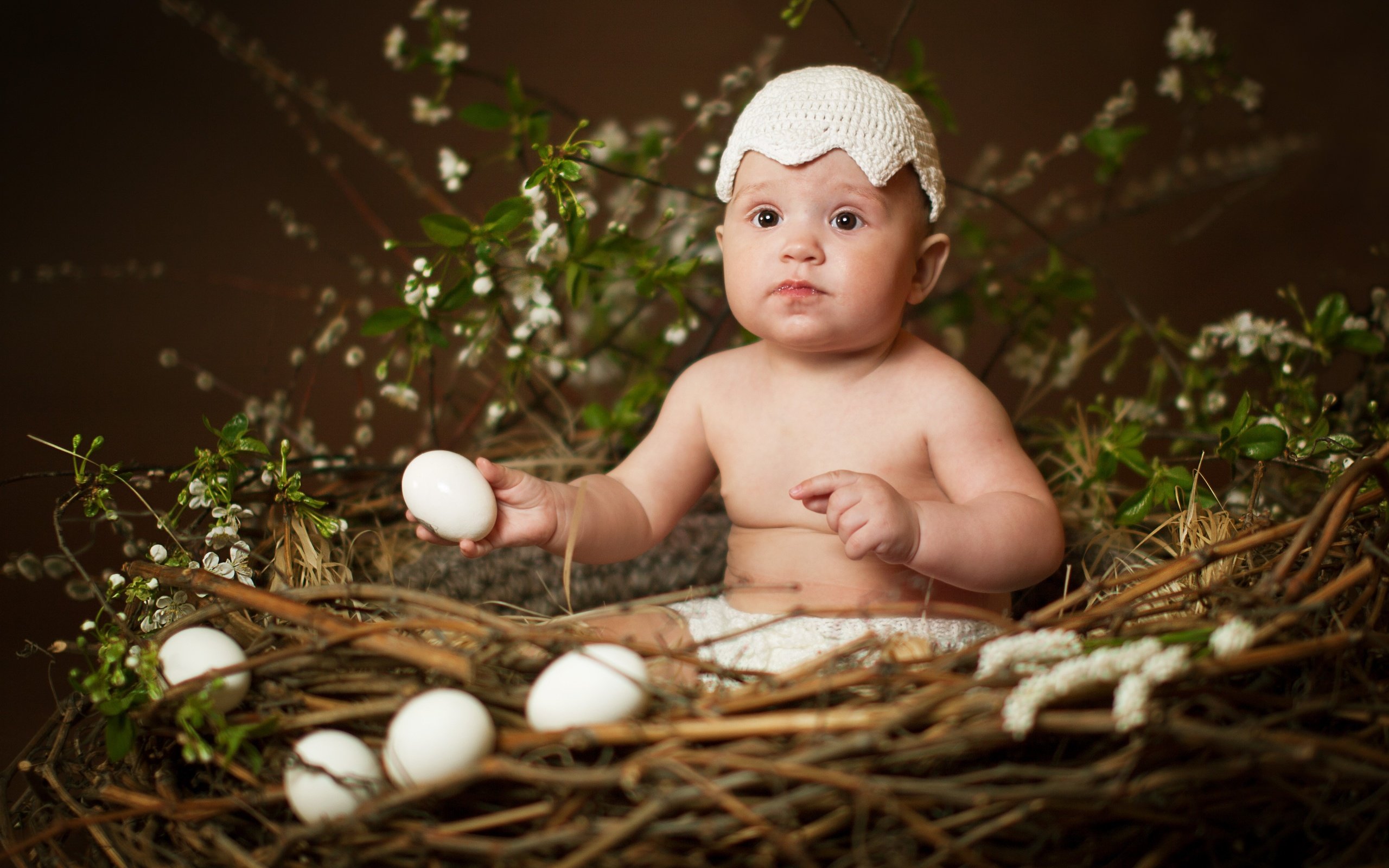 Обои дети, ребенок, мальчик, пасха, яйца, гнездо, children, child, boy, easter, eggs, socket разрешение 3816x2736 Загрузить