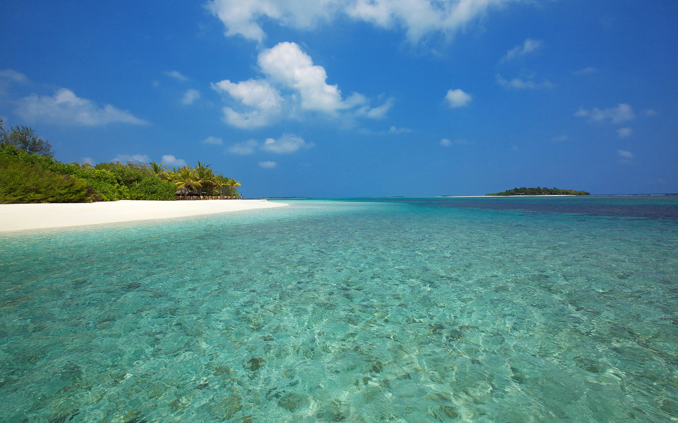 Обои море, пляж, отдых, остров, тропики, мальдивы, sea, beach, stay, island, tropics, the maldives разрешение 5000x3333 Загрузить