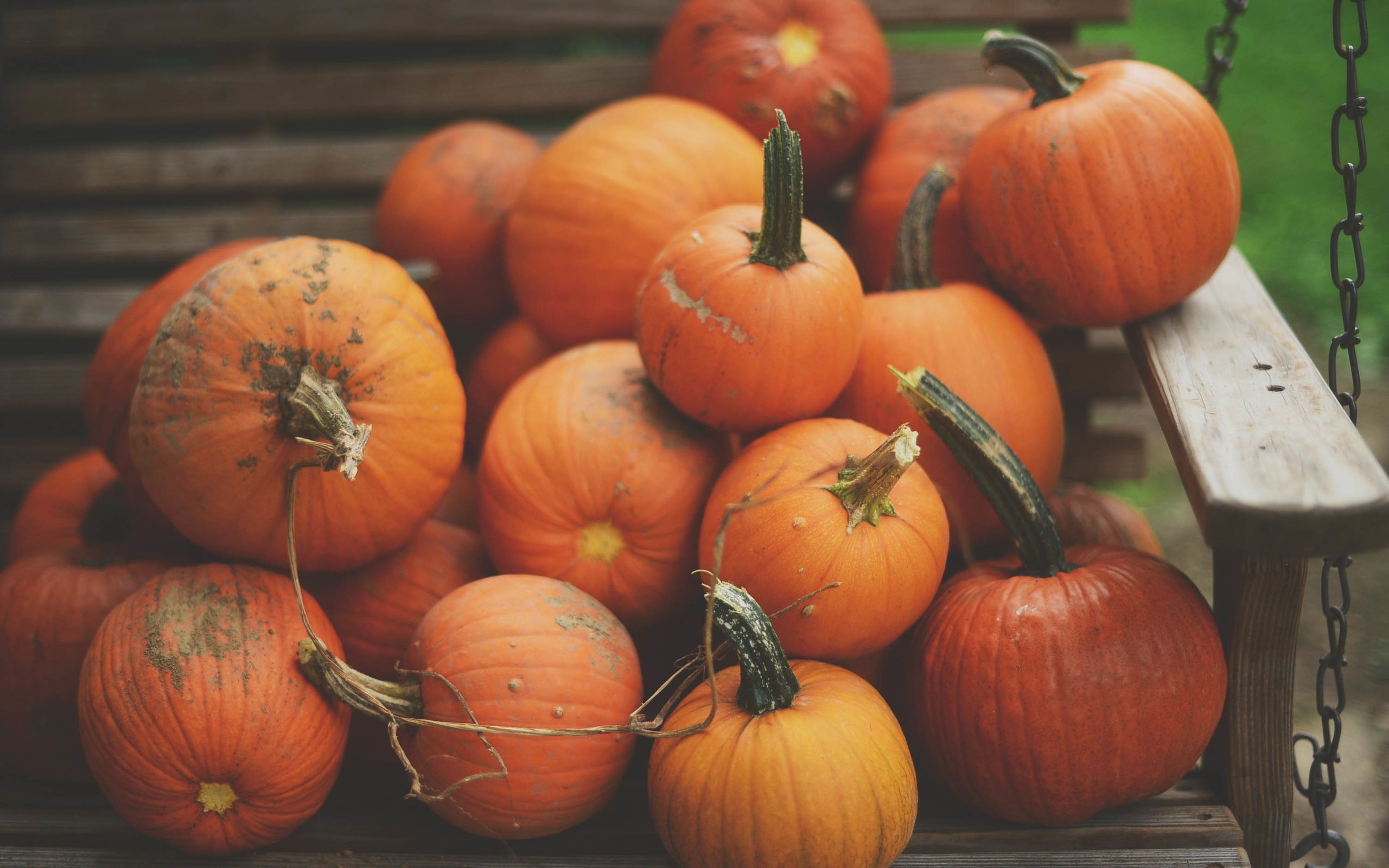 Обои скамейка, урожай, овощи, тыква, bench, harvest, vegetables, pumpkin разрешение 3008x2008 Загрузить