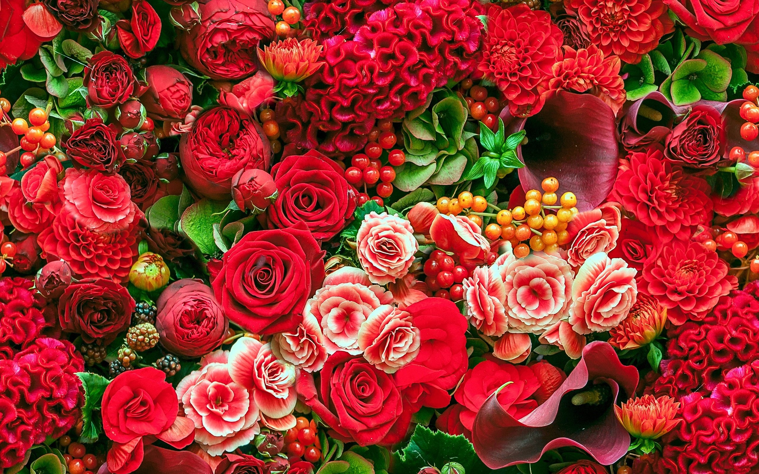 Обои цветы, розы, каллы, георгины, бегонии, flowers, roses, calla lilies, dahlias, begonias разрешение 4600x3453 Загрузить