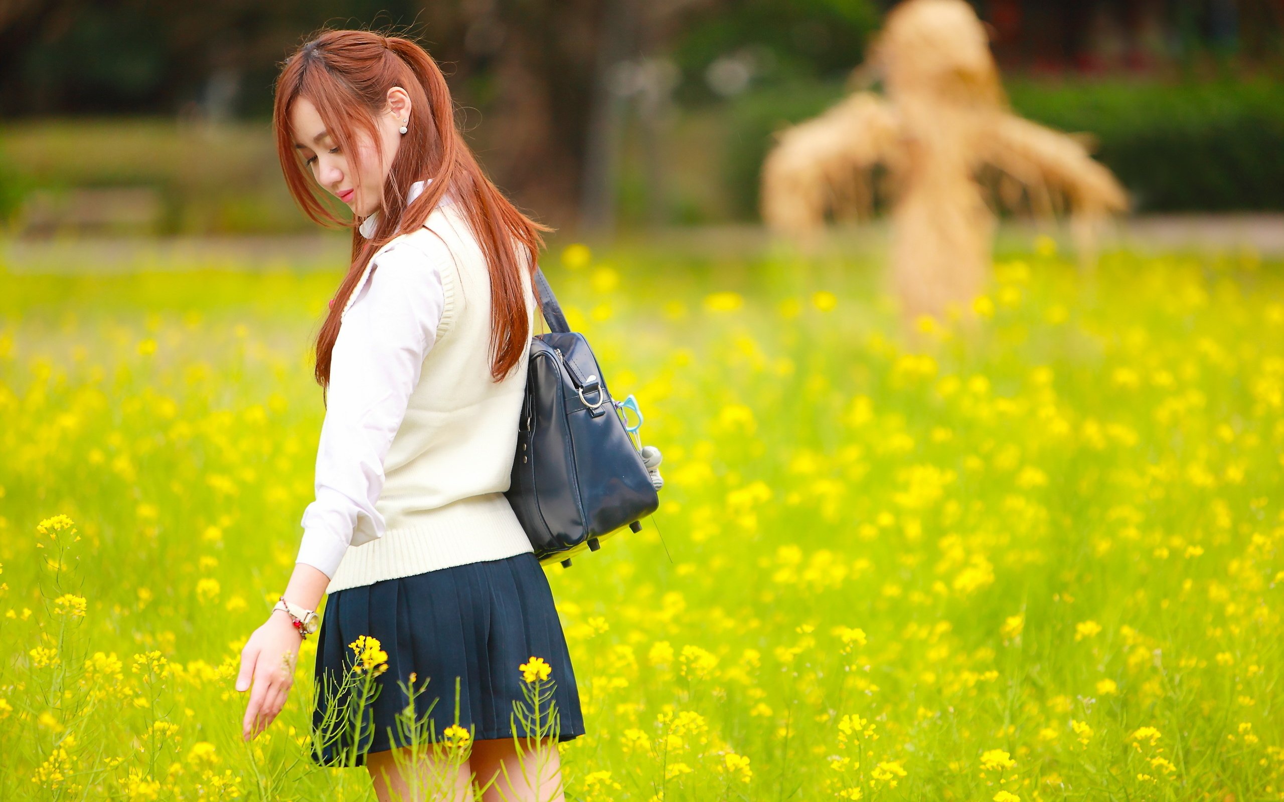 Обои цветы, девушка, лето, луг, азиатка, flowers, girl, summer, meadow, asian разрешение 2560x1707 Загрузить