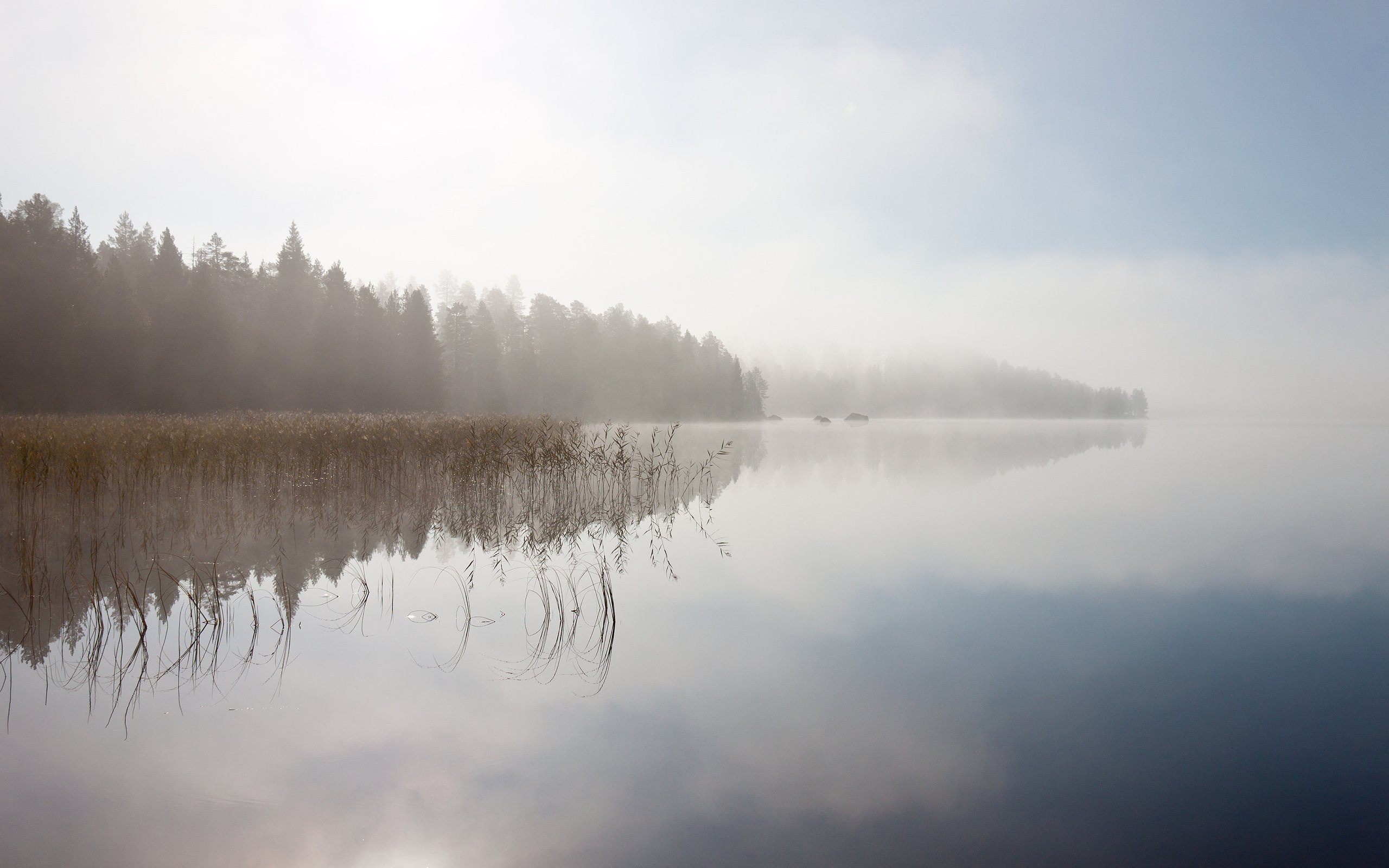 Обои небо, деревья, река, отражение, пейзаж, туман, the sky, trees, river, reflection, landscape, fog разрешение 3360x2100 Загрузить