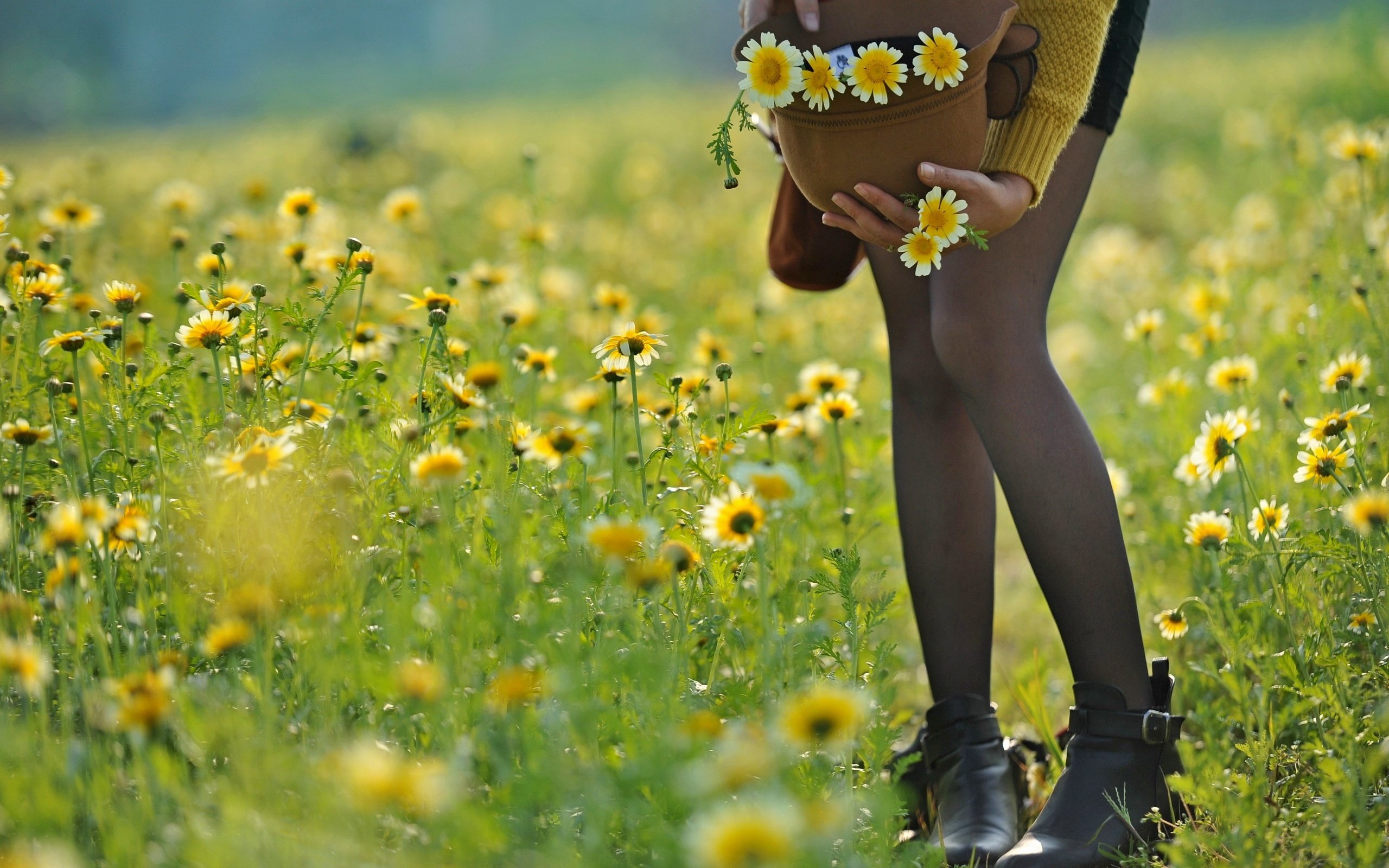 Обои цветы, девушка, настроение, лето, ноги, шляпа, flowers, girl, mood, summer, feet, hat разрешение 2560x1707 Загрузить