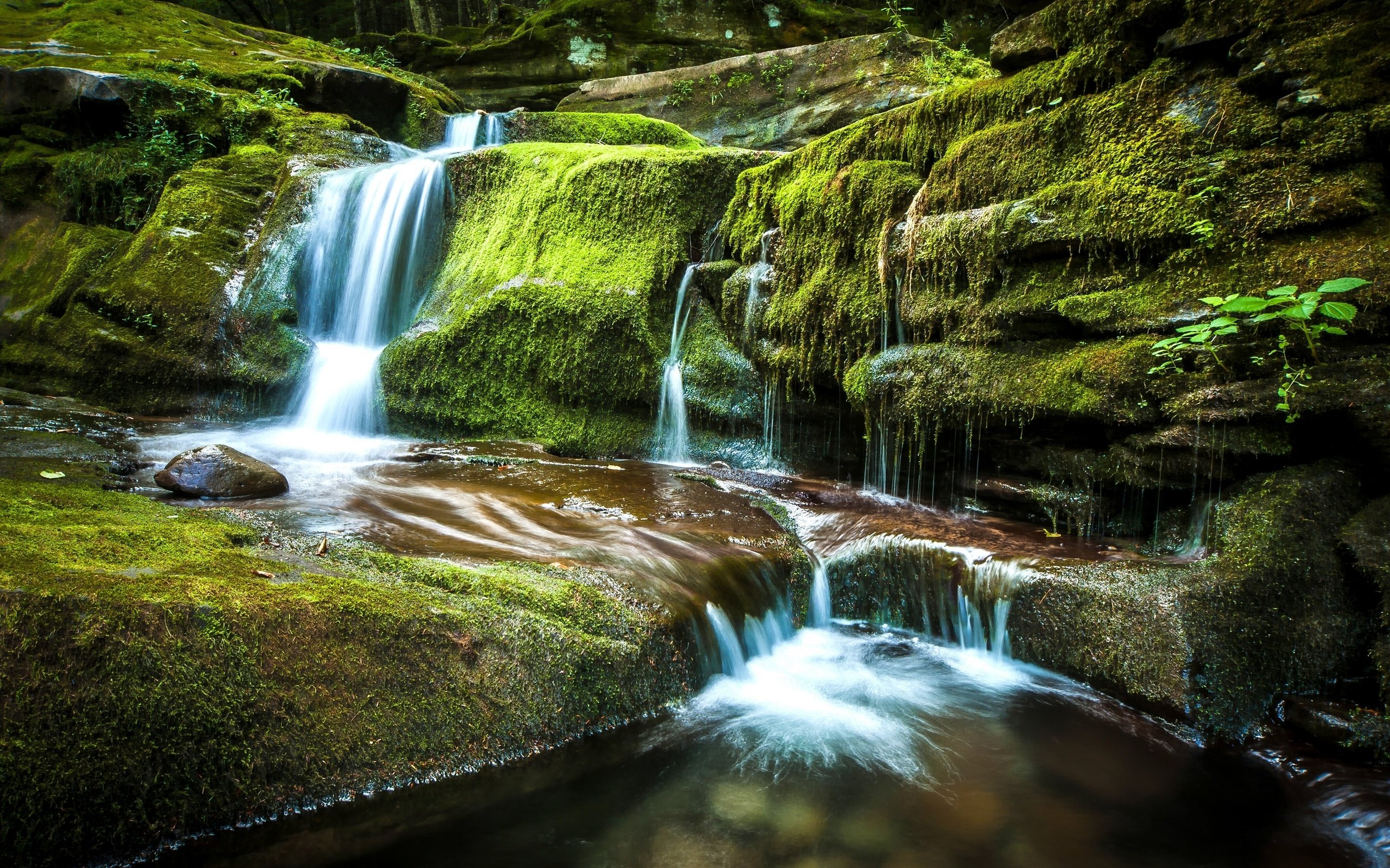 Обои камни, водопад, мох, stones, waterfall, moss разрешение 2880x1916 Загрузить