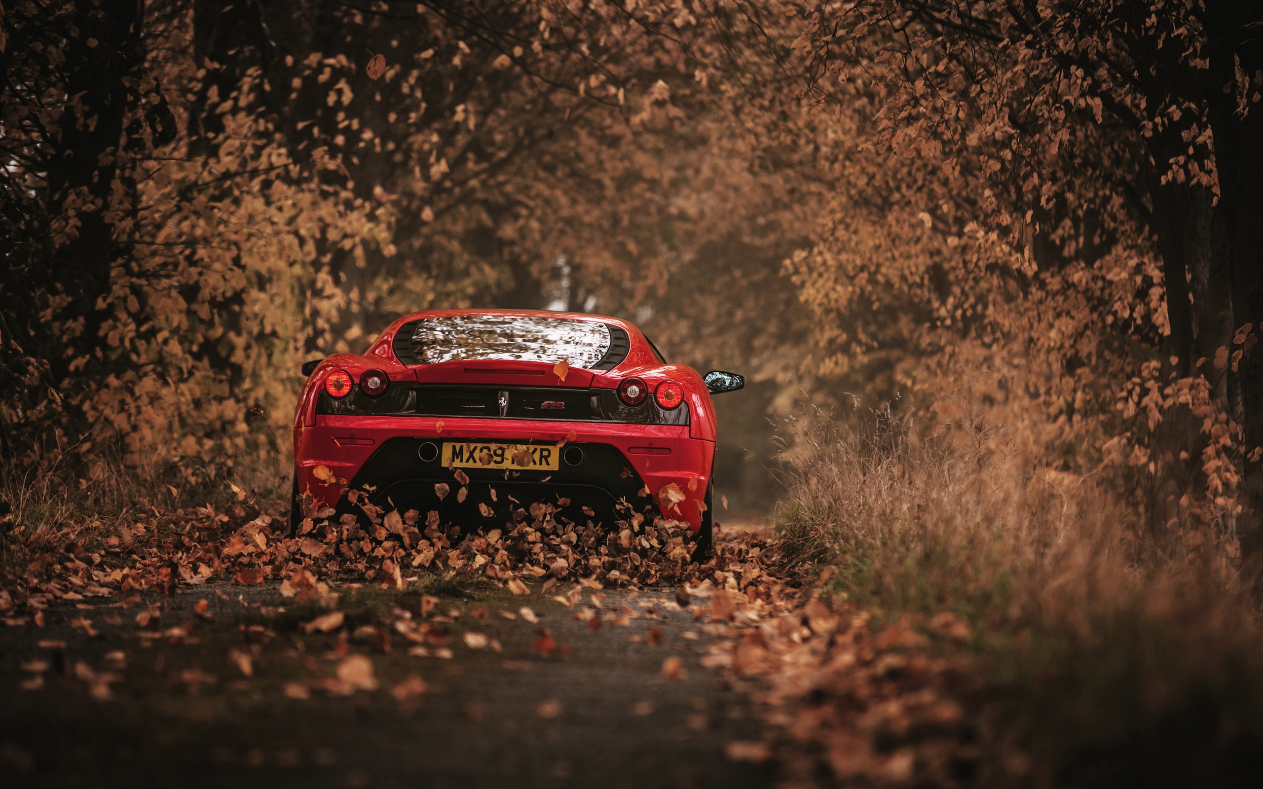 Обои листья, осень, красный, автомобиль, феррари, 430 scuderia, leaves, autumn, red, car, ferrari разрешение 3000x2002 Загрузить