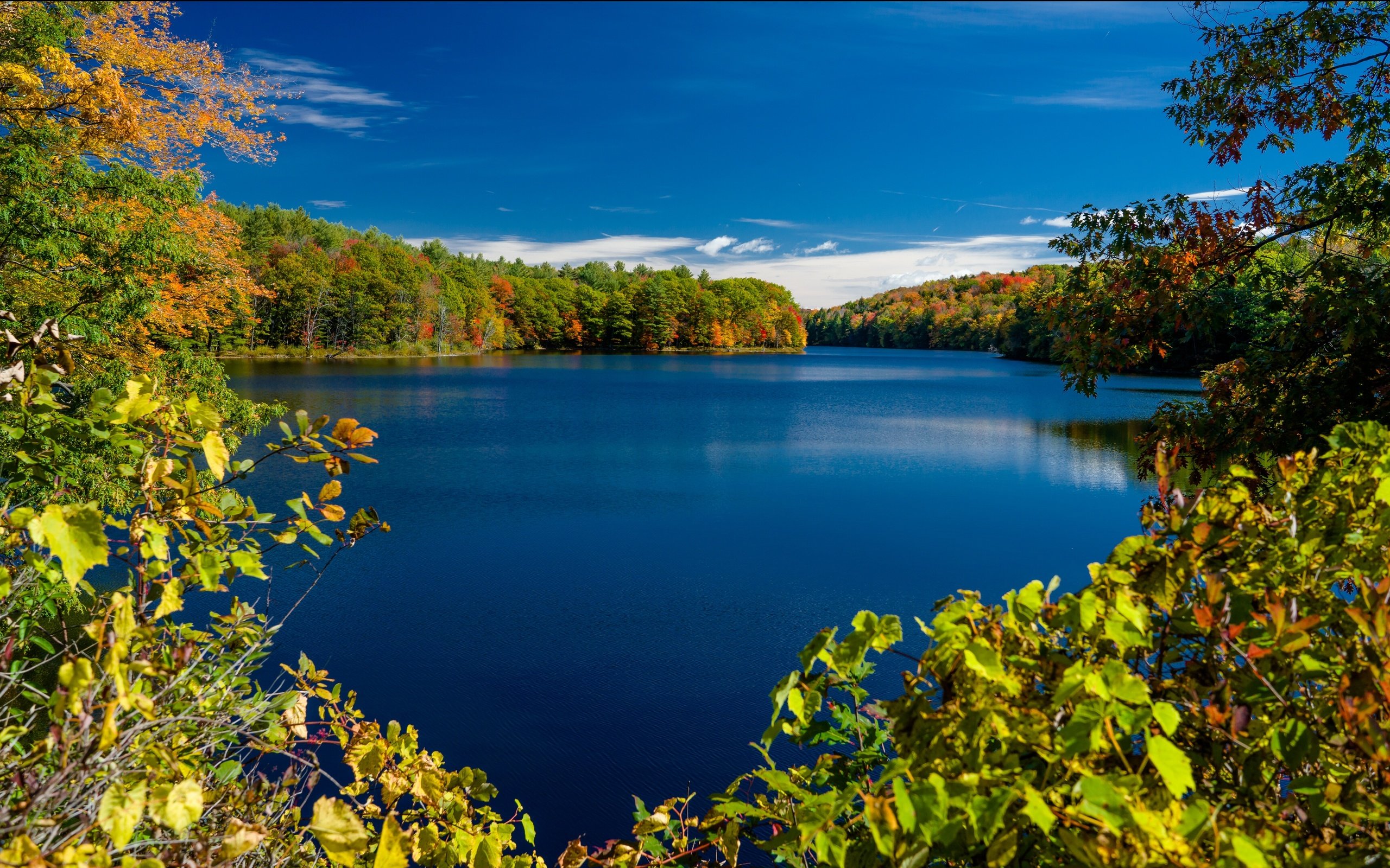 Обои деревья, нью - йорк, озеро, ветки, осень, штат нью-йорк, rockwood lake, adirondack park, озеро роквуд, парк адирондак, trees, new york, lake, branches, autumn, the state of new york, lake rockwood, the adirondack park разрешение 3579x2158 Загрузить