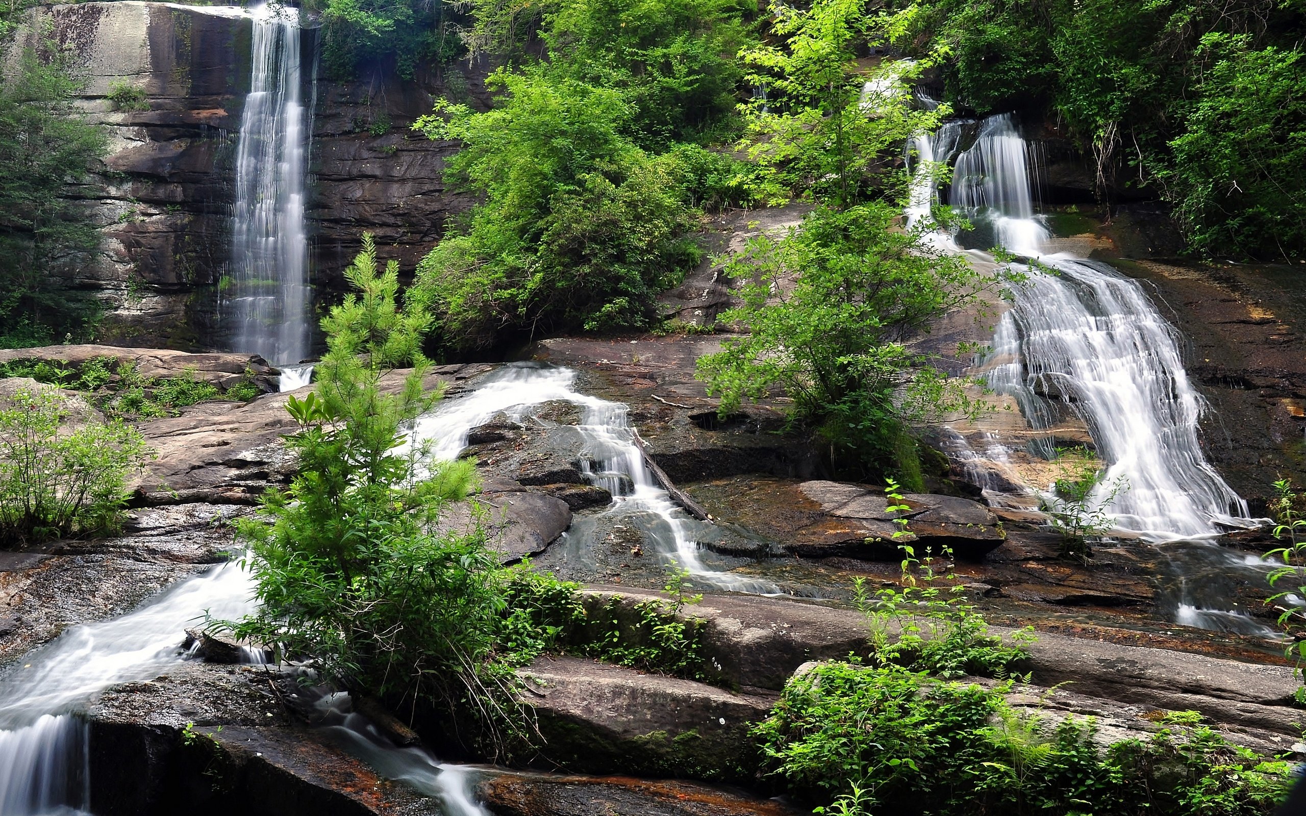 Обои деревья, скалы, природа, водопады, trees, rocks, nature, waterfalls разрешение 2880x1735 Загрузить