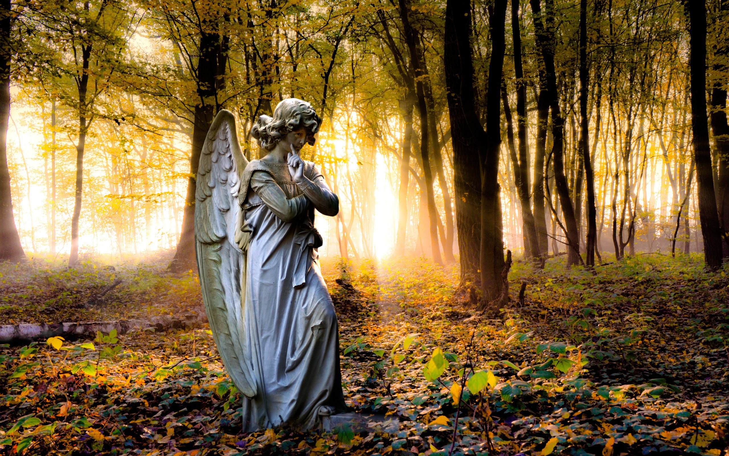 Обои деревья, парк, осень, ангел, статуя, trees, park, autumn, angel, statue разрешение 4288x2848 Загрузить