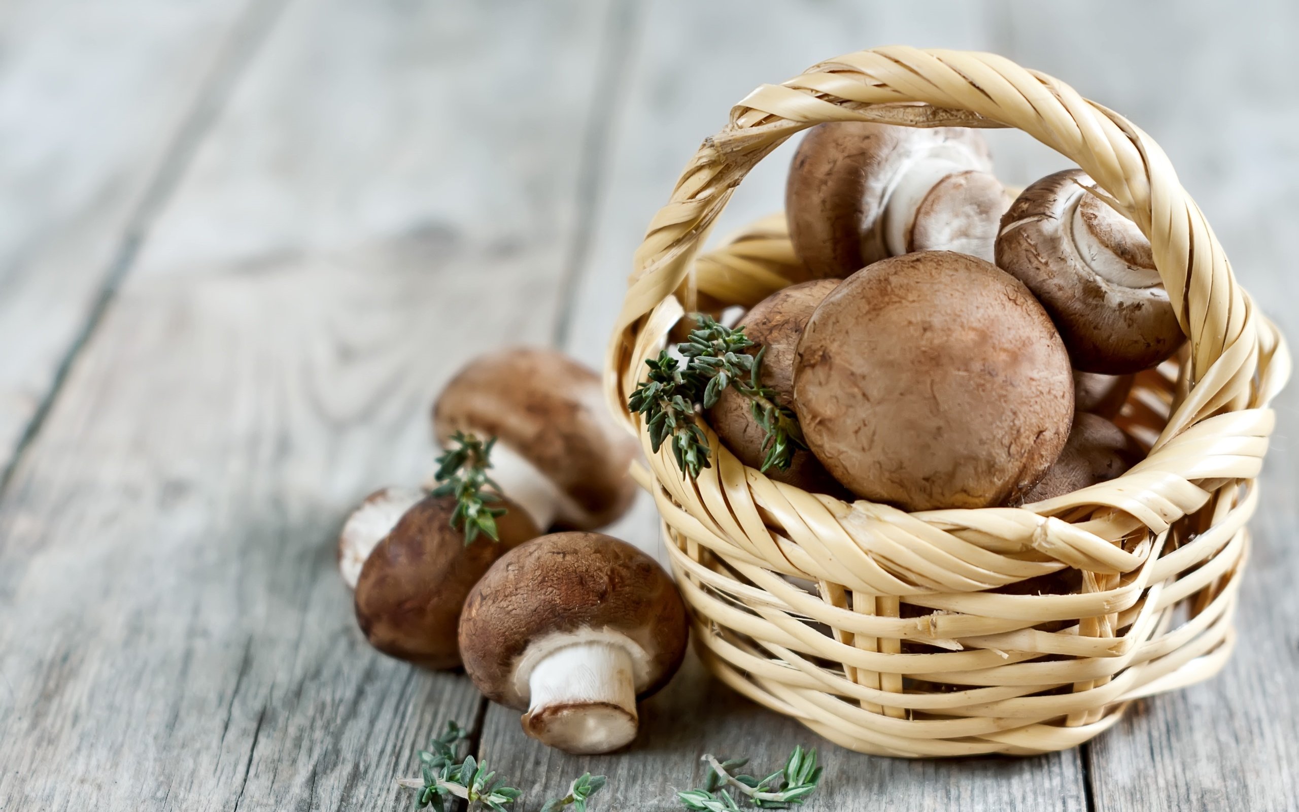 Обои грибы, корзинка, шампиньоны, портабелло, портобелло, mushrooms, basket, portabello, portobello разрешение 2700x1800 Загрузить