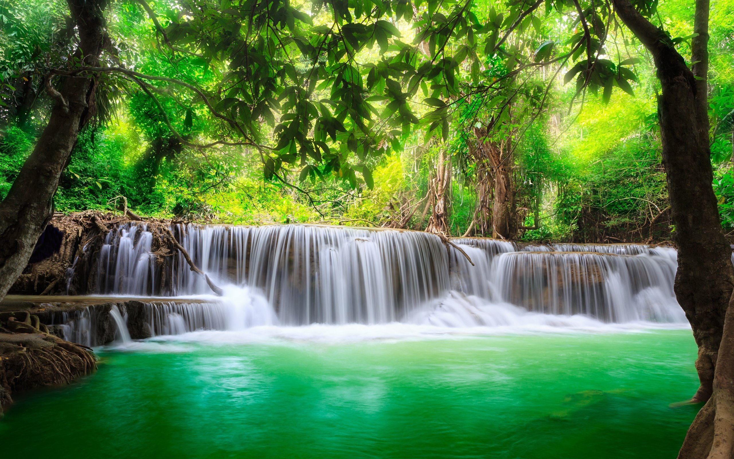 Обои деревья, водопад хуай мэй хамин, huay mae khamin waterfalls, река, khuean srinagarindra national park, водопад хуай мае кхамин, природа, лес, водопад, таиланд, джунгли, каскад, trees, river, nature, forest, waterfall, thailand, jungle, cascade разрешение 5618x3583 Загрузить