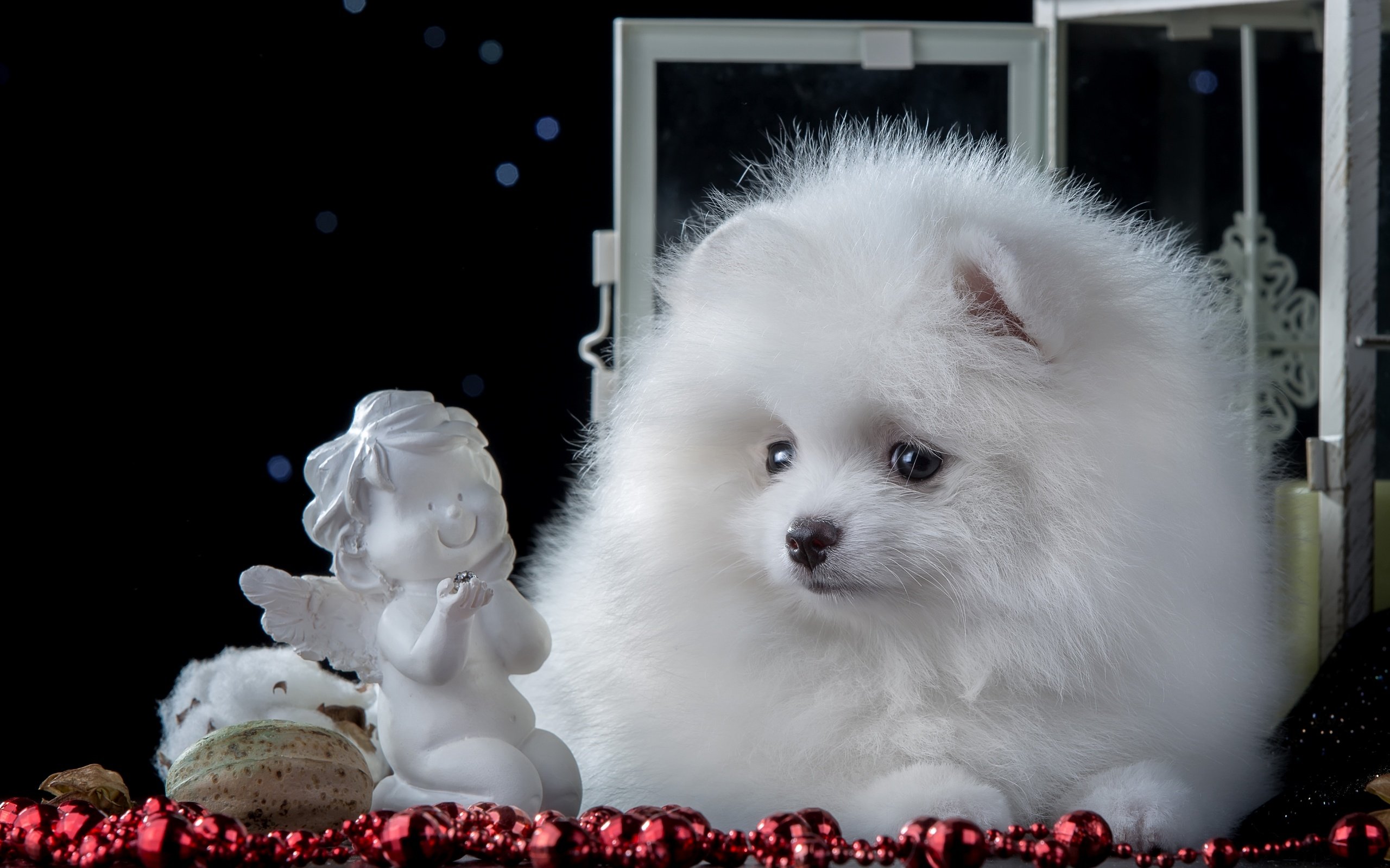 Обои белый, статуэтка, щенок, ангел, милый, шпиц, white, figurine, puppy, angel, cute, spitz разрешение 3600x2301 Загрузить