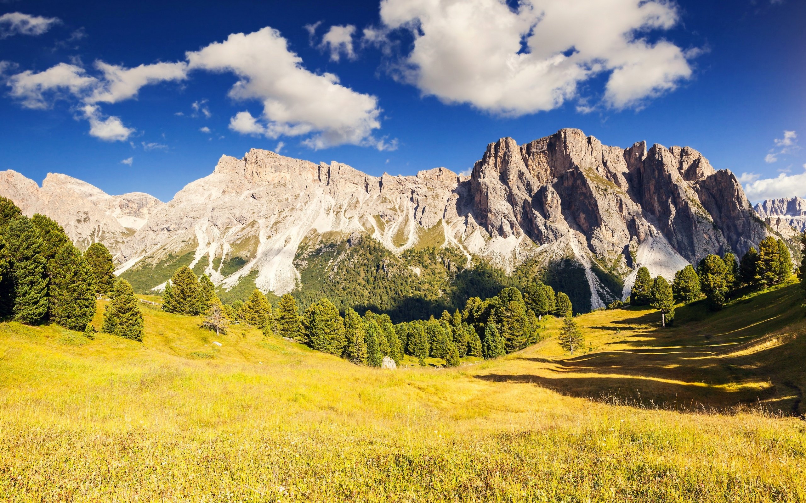 Обои небо, трава, облака, деревья, горы, the sky, grass, clouds, trees, mountains разрешение 2880x1626 Загрузить