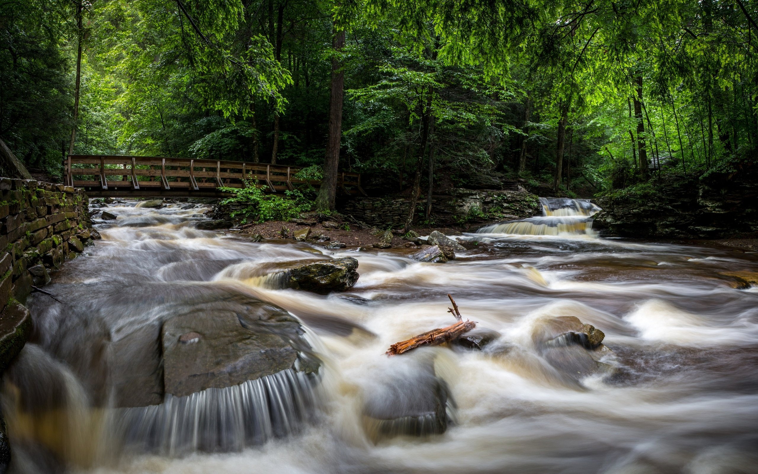 Обои деревья, ricketts glen state park, камни, лес, парк, ручей, мост, сша, течение, trees, stones, forest, park, stream, bridge, usa, for разрешение 2880x1672 Загрузить