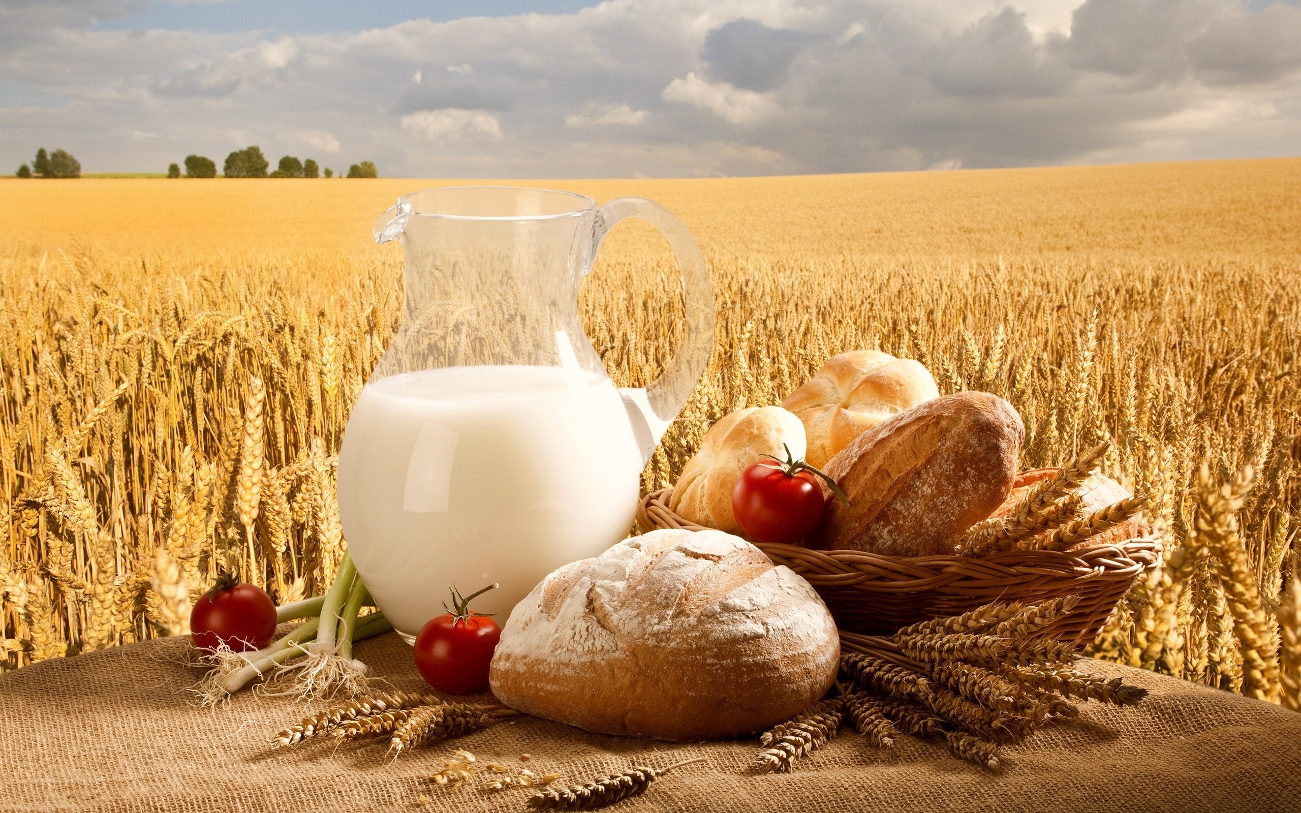 Обои поля, еда, пшеница, хлеб, молоко, кувшин, продукты, пища, field, food, wheat, bread, milk, pitcher, products разрешение 3000x2000 Загрузить