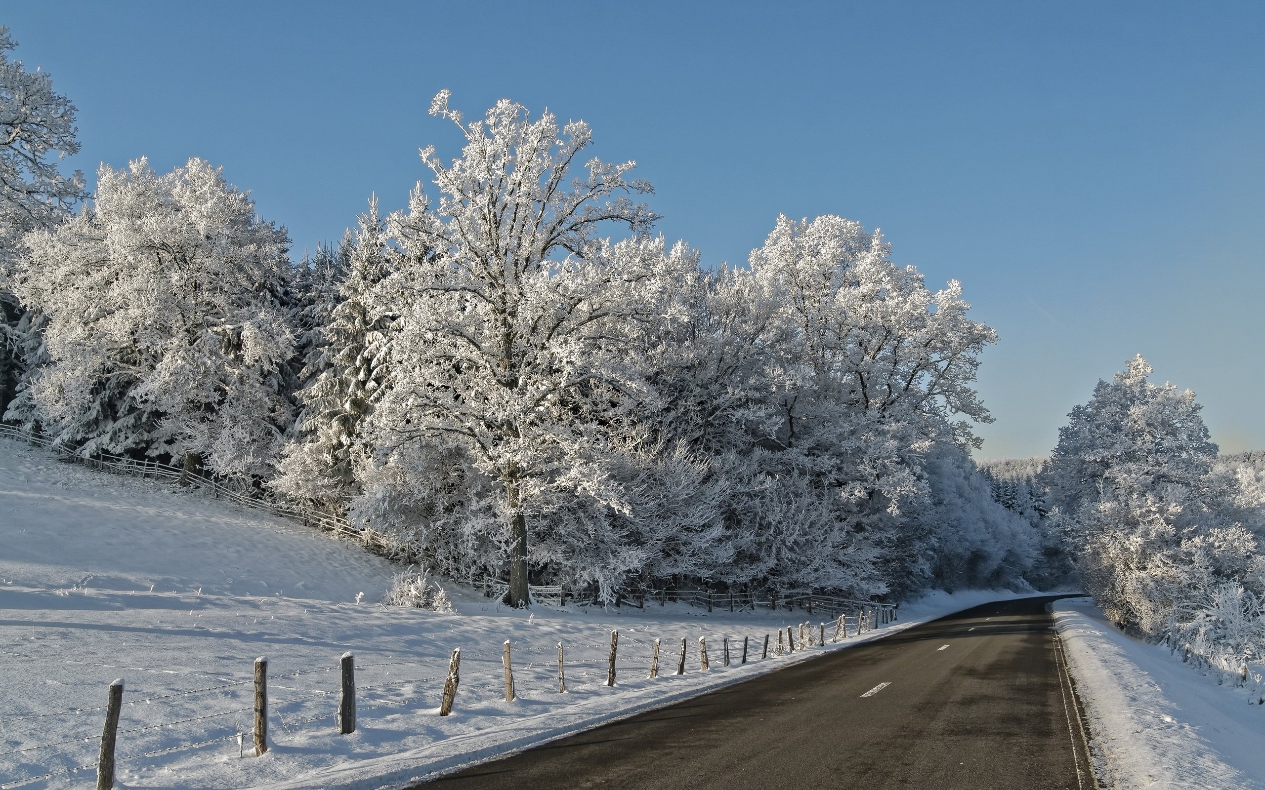 Обои небо, дорога, деревья, снег, зима, ветки, иней, the sky, road, trees, snow, winter, branches, frost разрешение 2723x1751 Загрузить