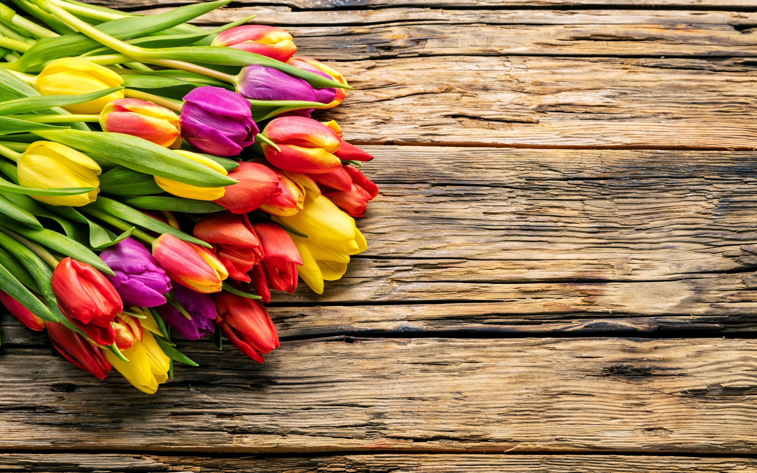 Обои цветы, парное, весна, весенние, красочная, букет, тюльпаны, дерева, красива, тульпаны,  цветы, яркая, flowers, fresh, spring, colorful, bouquet, tulips, wood, beautiful, bright разрешение 6309x4206 Загрузить