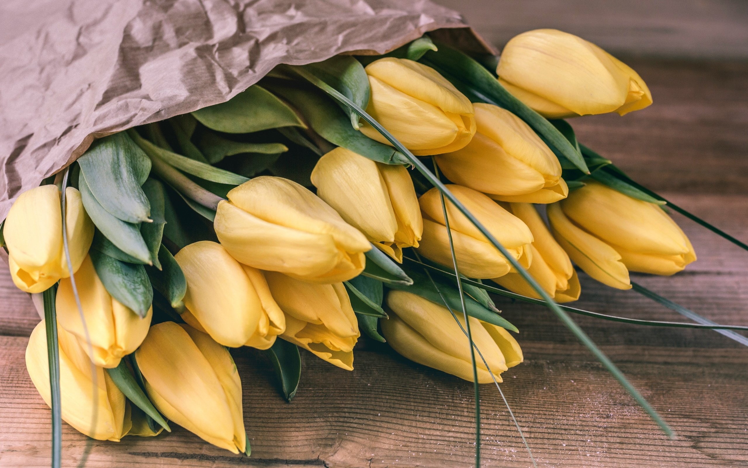 Обои цветы, бутоны, фон, букет, тюльпаны, желтые, flowers, buds, background, bouquet, tulips, yellow разрешение 3000x1937 Загрузить