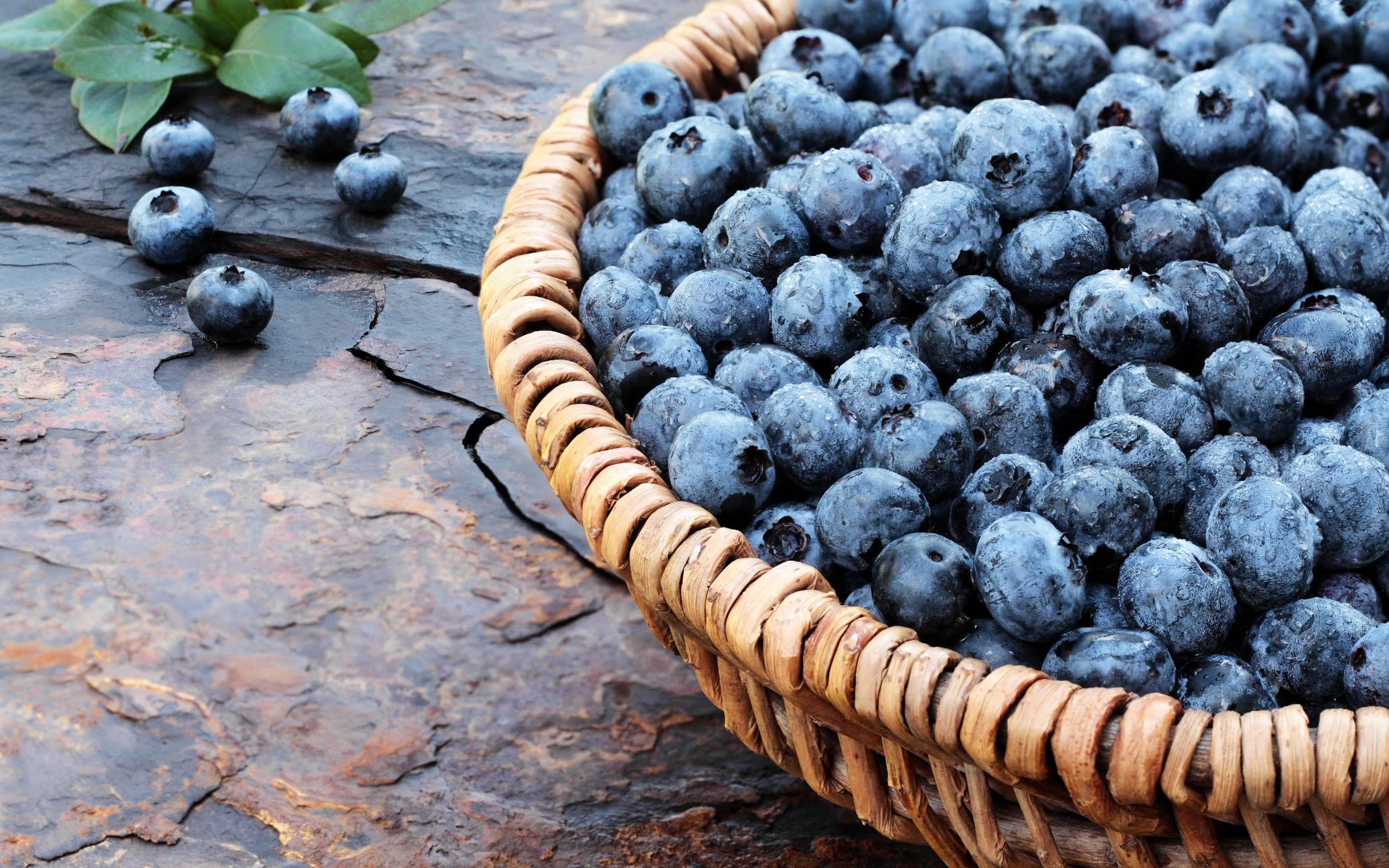 Обои ягоды, лесные ягоды, черника, корзинка, дерева, голубика, парное, черничный, berries, blueberries, basket, wood, fresh, blueberry разрешение 5184x3456 Загрузить