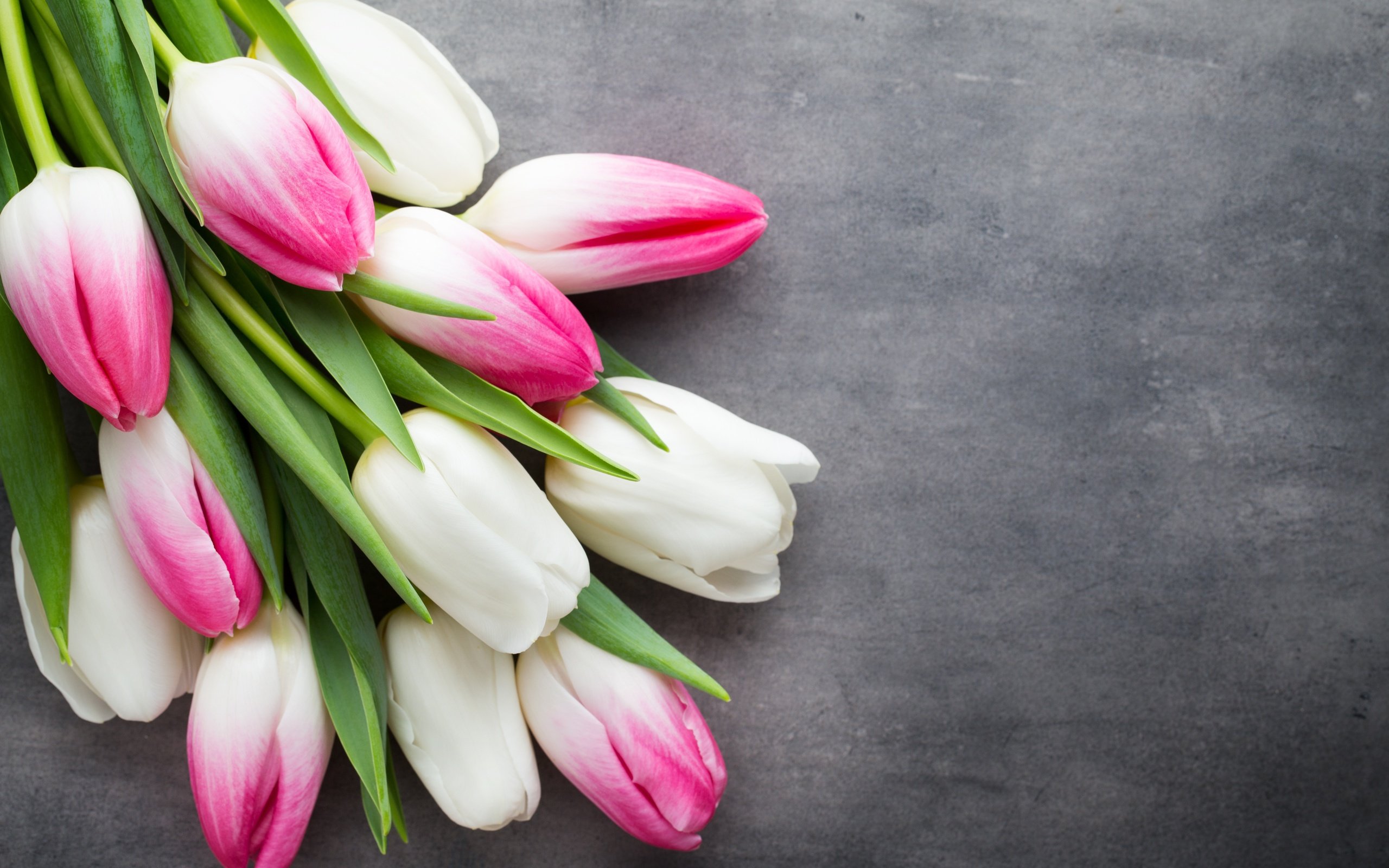 Обои цветы, букет, тюльпаны, розовые, белые, flowers, bouquet, tulips, pink, white разрешение 5472x3648 Загрузить