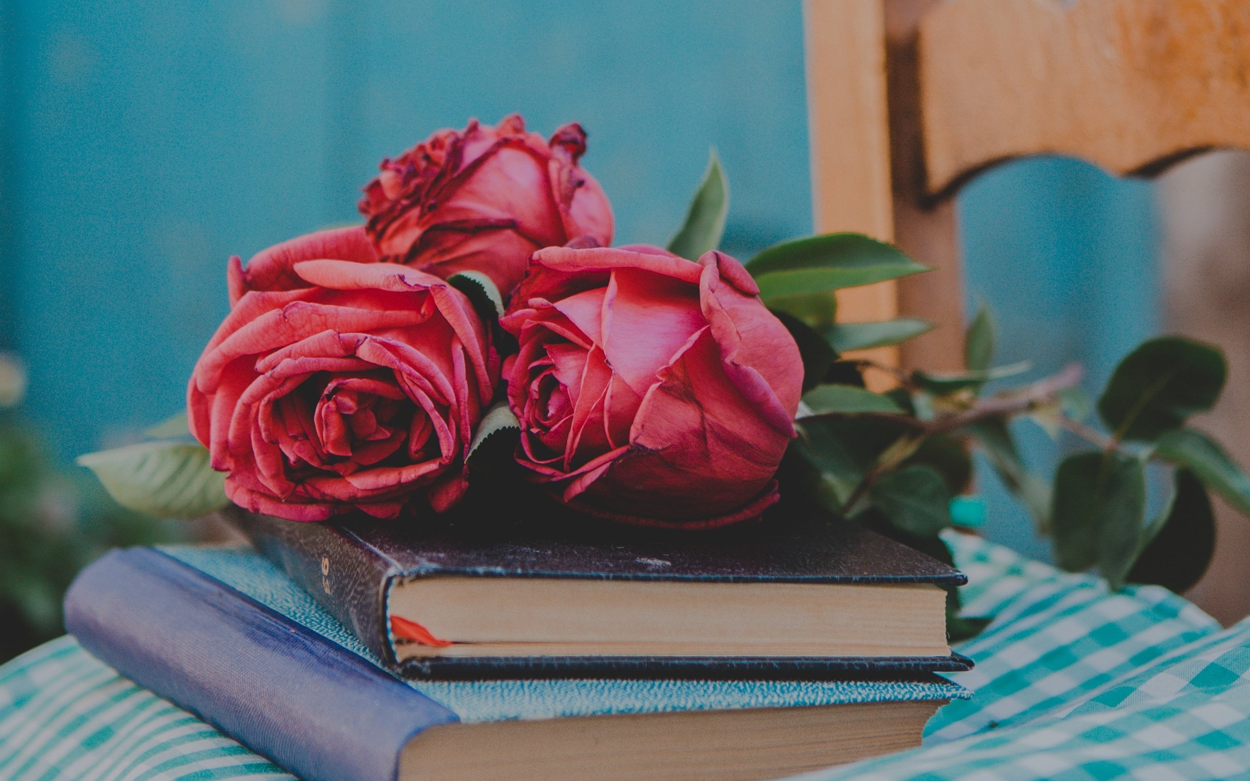 Обои цветы, бутоны, стиль, розы, книги, flowers, buds, style, roses, books разрешение 2560x1923 Загрузить