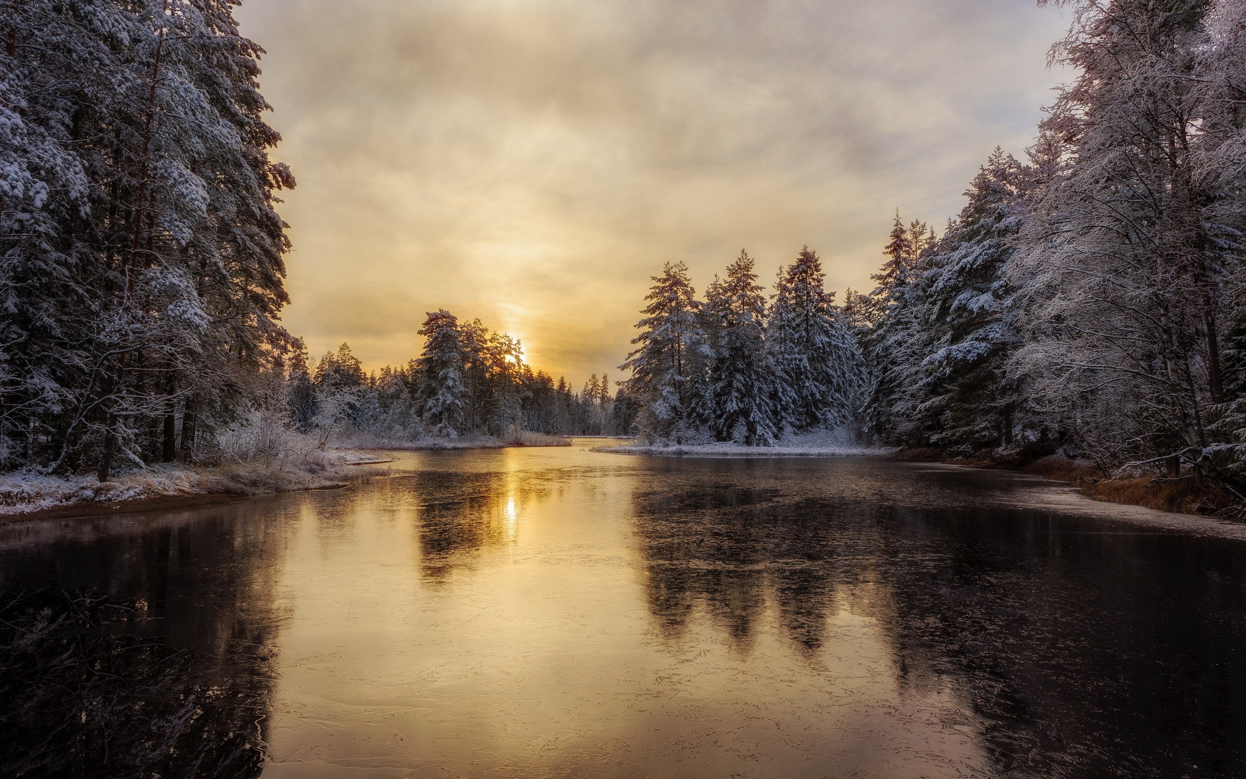 Обои деревья, река, снег, лес, зима, лёд, trees, river, snow, forest, winter, ice разрешение 2560x1707 Загрузить