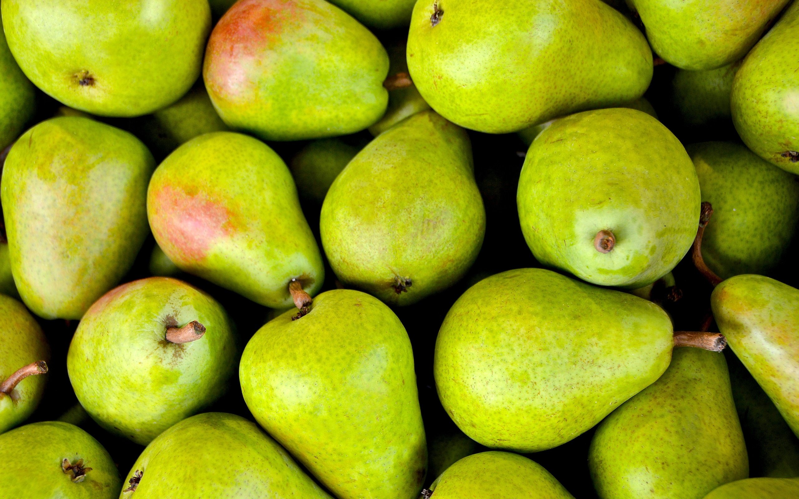 Обои фрукты, зеленые, плоды, груши, fruit, green, pear разрешение 6000x3989 Загрузить