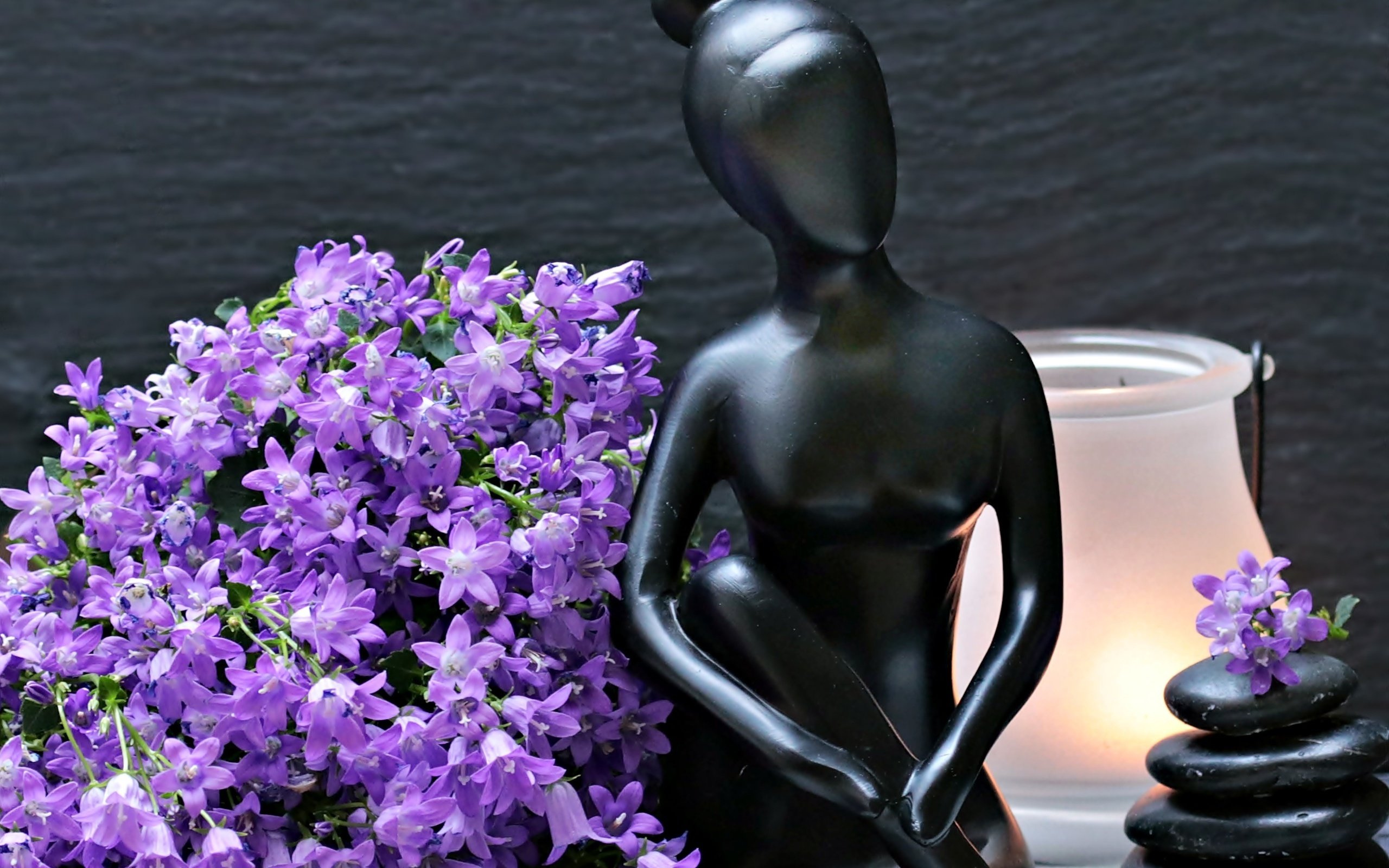 Обои цветы, камни, лампа, статуэтка, колокольчики, женщина, фигурка, flowers, stones, lamp, figurine, bells, woman, figure разрешение 2993x2410 Загрузить