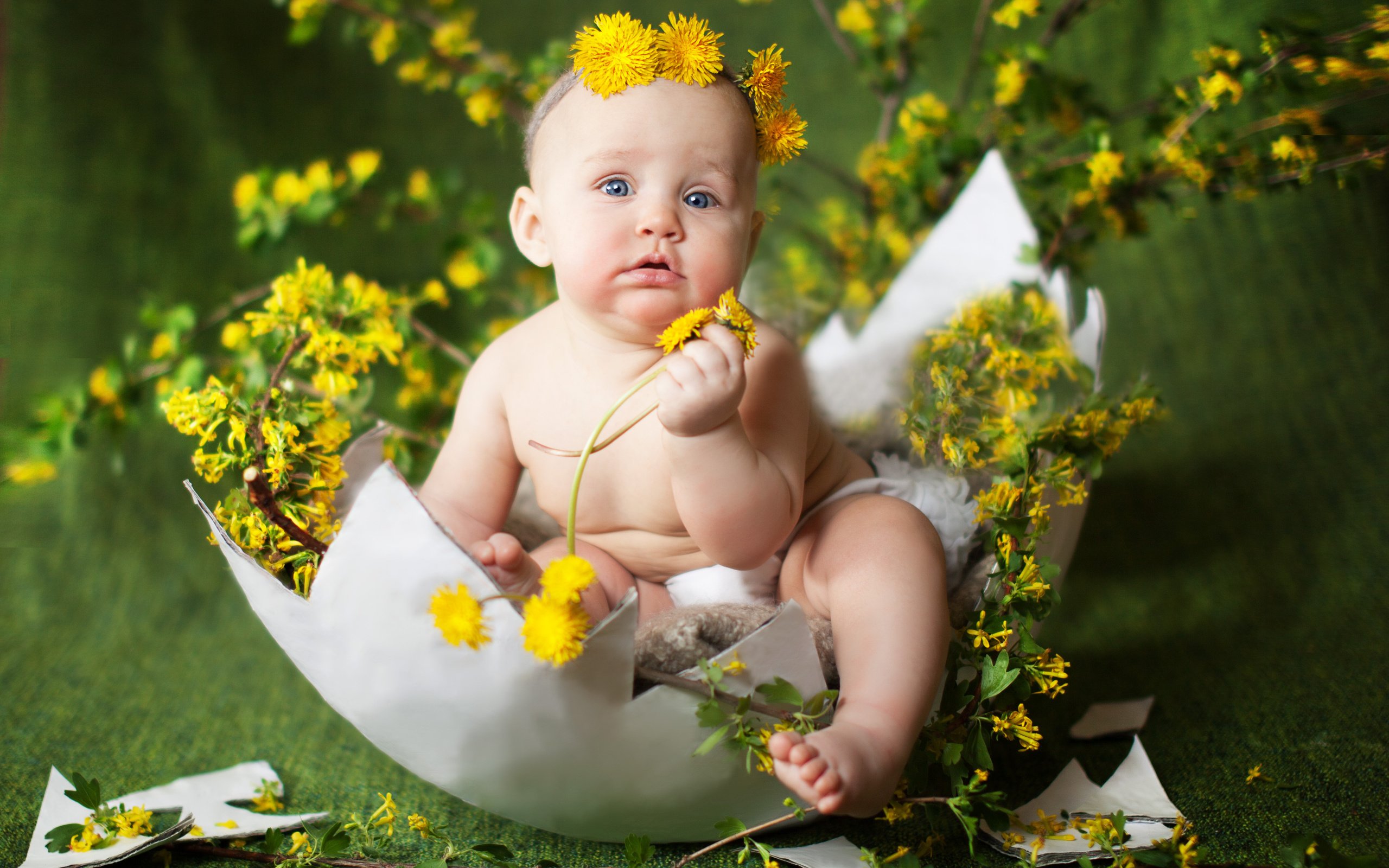 Обои цветы, ребенок, одуванчики, малыш, венок, скорлупа, яйцо, flowers, child, dandelions, baby, wreath, shell, egg разрешение 4182x3000 Загрузить