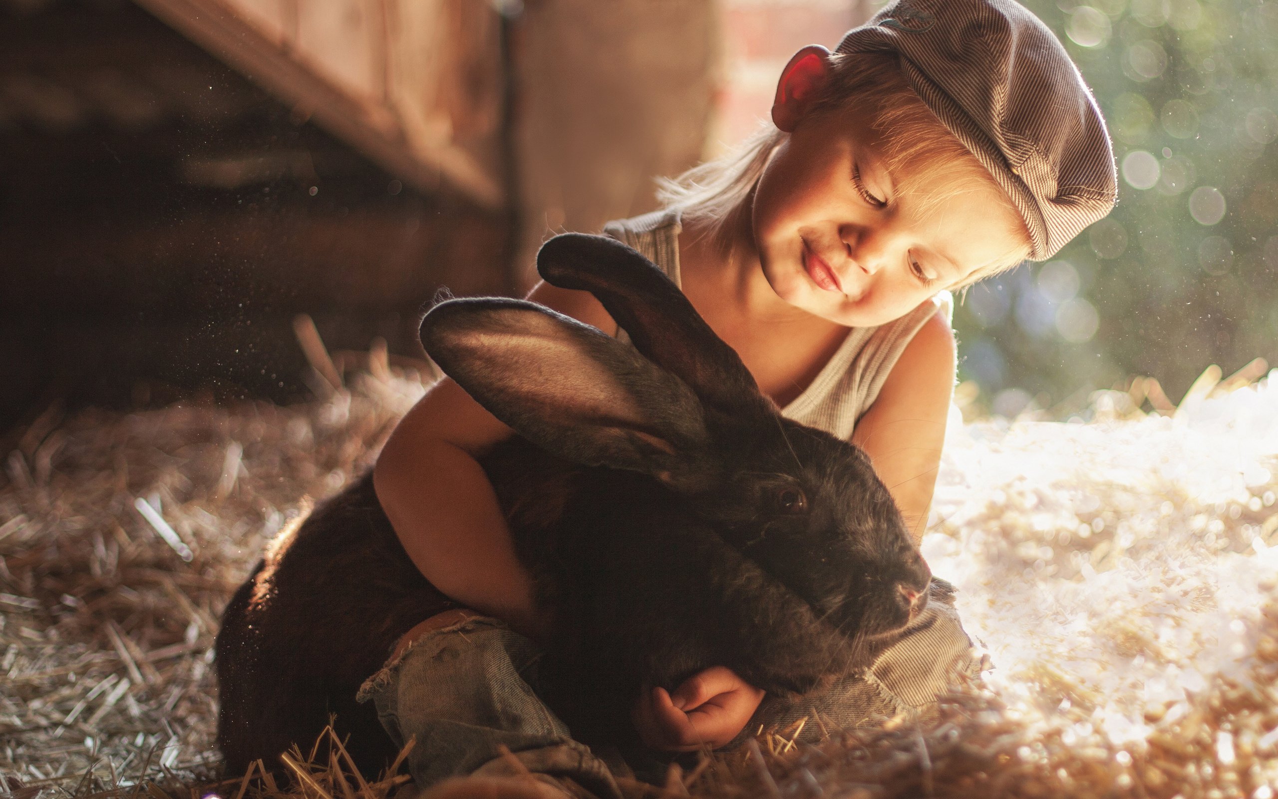 Обои ребенок, кролик, мальчик, животное, солома, друзья, кепка, боке, child, rabbit, boy, animal, straw, friends, cap, bokeh разрешение 3463x3316 Загрузить