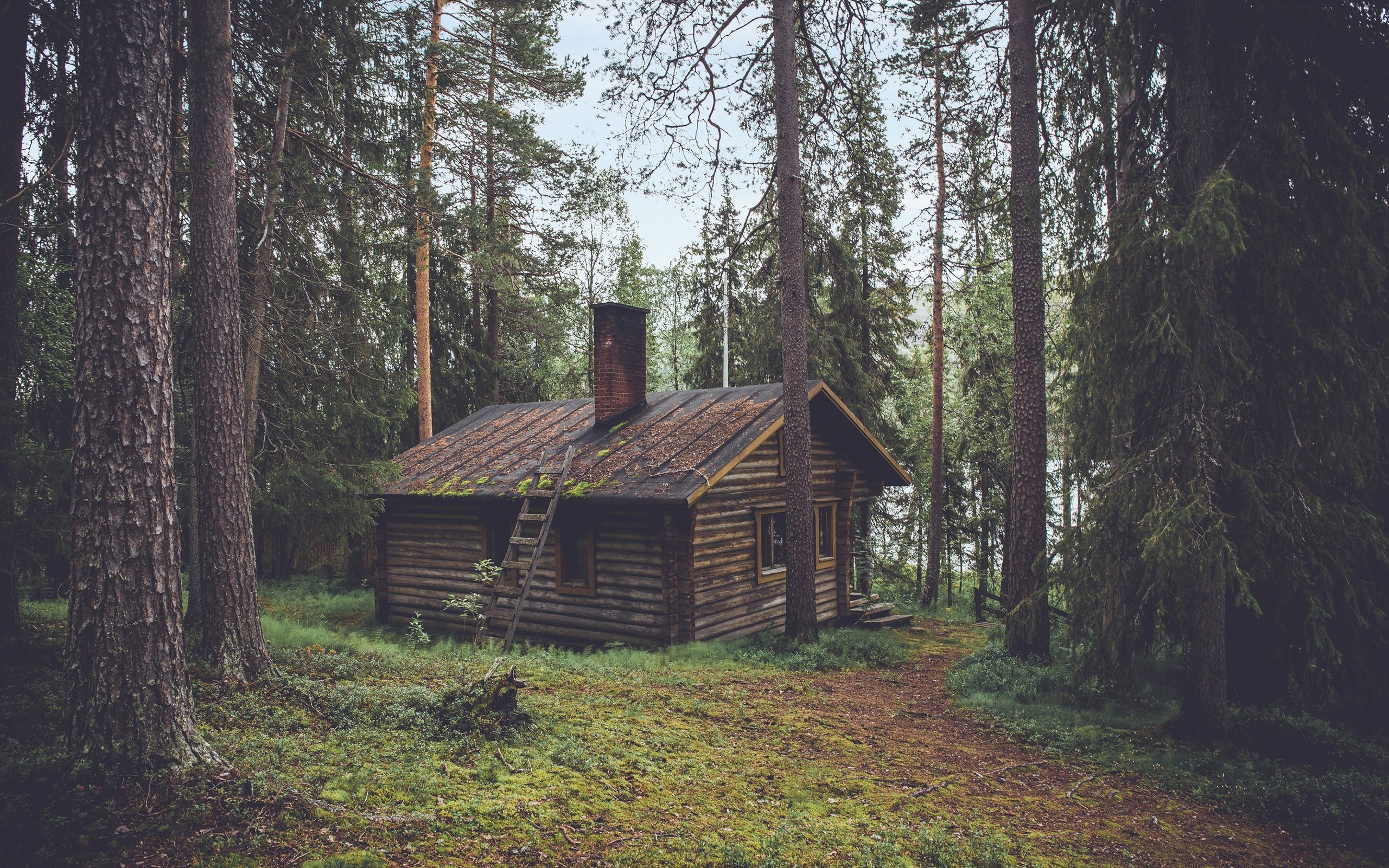 Обои деревья, природа, лес, домик, сторожка, trees, nature, forest, house, lodge разрешение 2880x1800 Загрузить