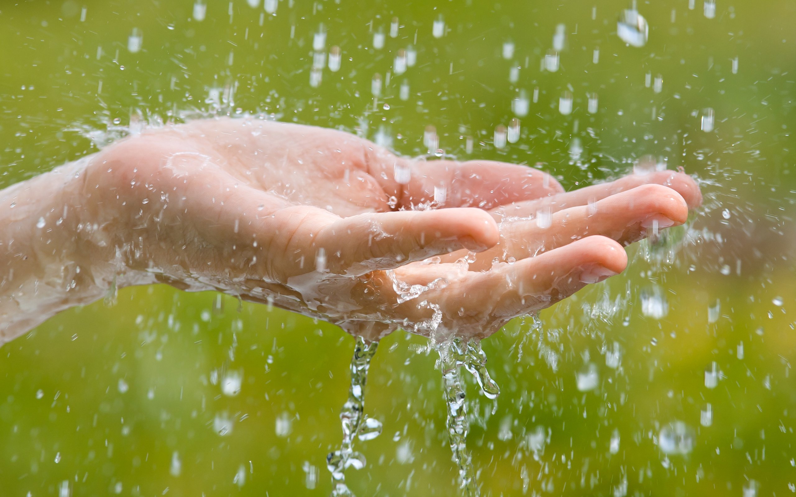 Обои вода, рука, макро, капли, брызги, дождь, родимов павел, water, hand, macro, drops, squirt, rain, the pavel rodimov разрешение 2880x1800 Загрузить