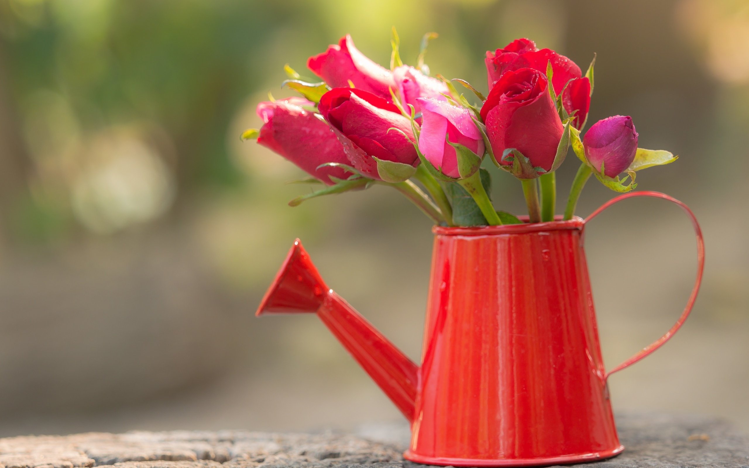 Обои цветы, розы, букет, боке, лейка, flowers, roses, bouquet, bokeh, lake разрешение 2880x1800 Загрузить