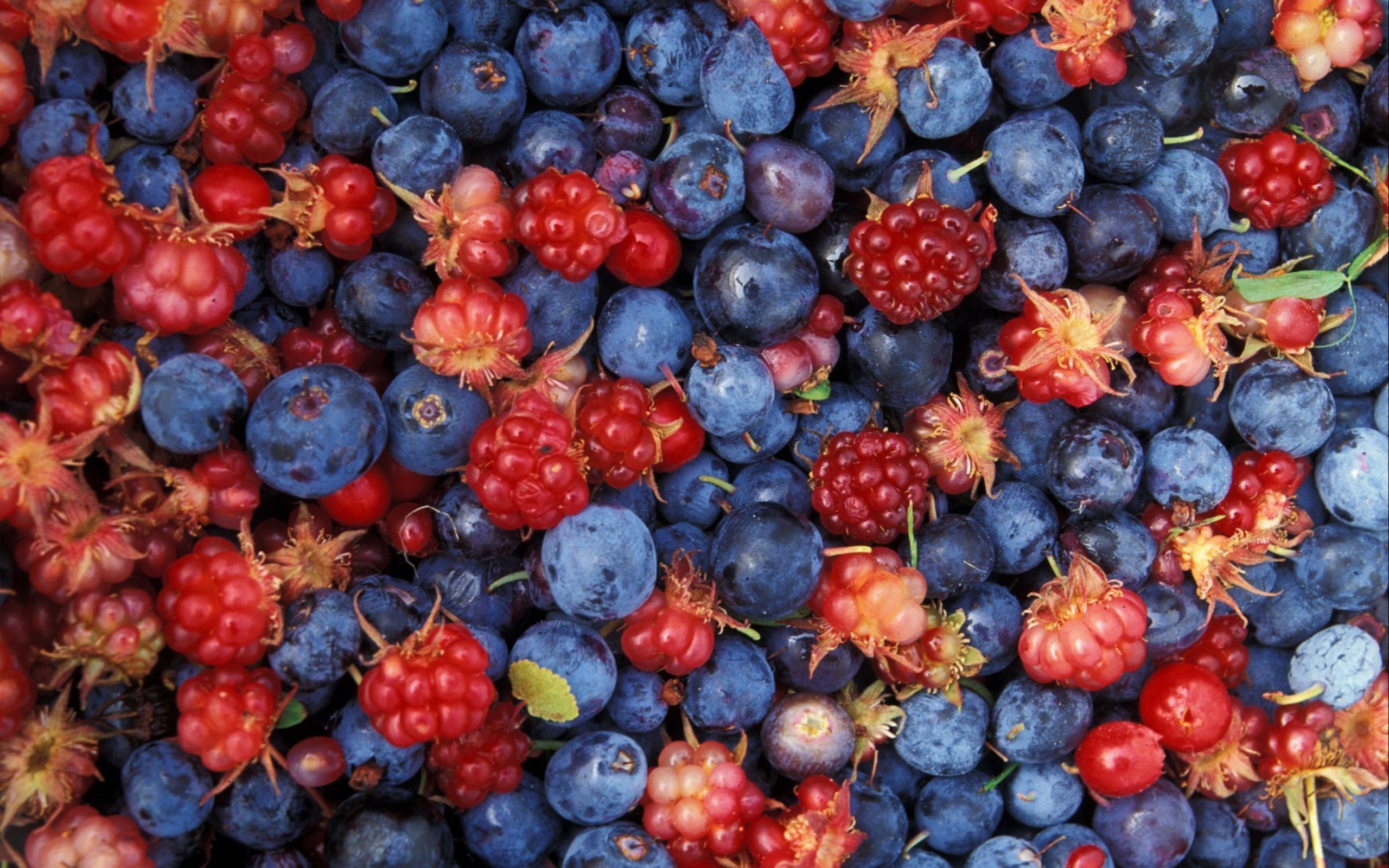 Обои малина, ягоды, много, черника, raspberry, berries, a lot, blueberries разрешение 2880x1800 Загрузить